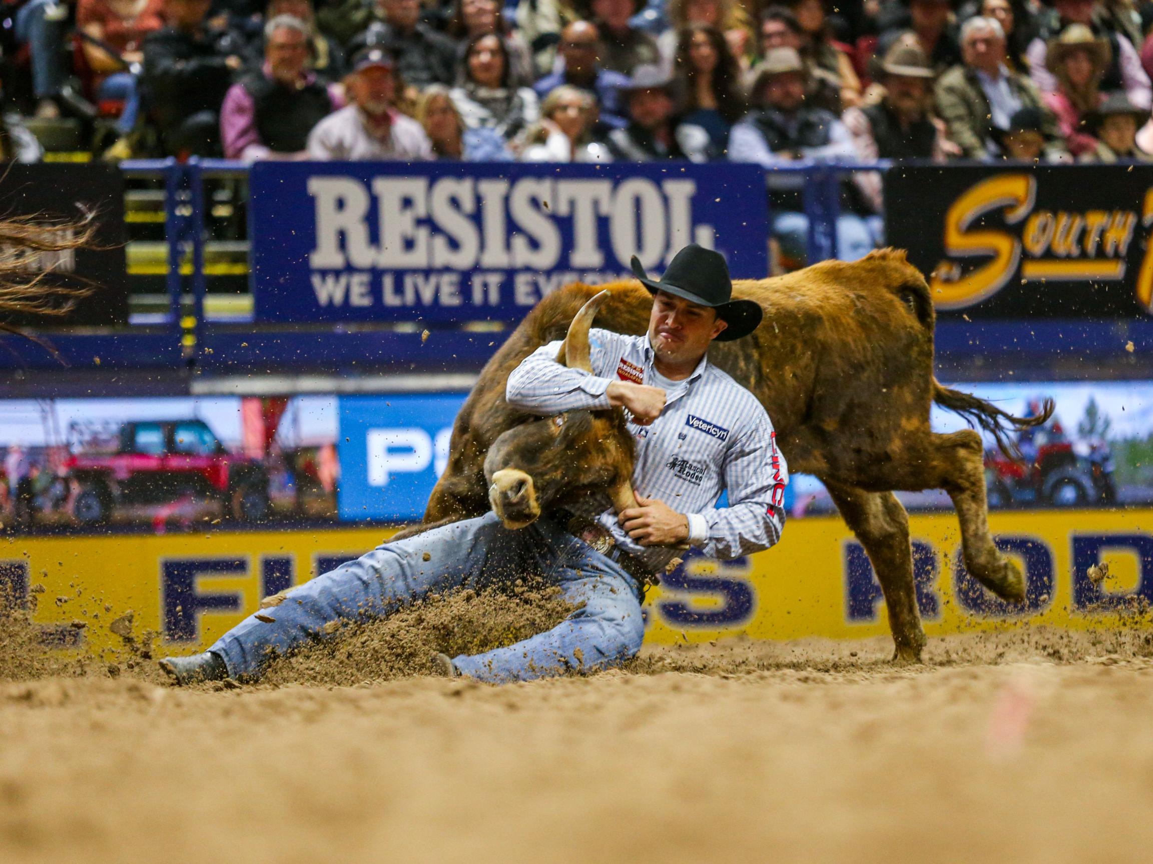 Rodeo cowboy wearing a black hat and striped shirt competing in steer wrestling, gripping a running steer and sliding through the dirt inside an arena with spectators in the background