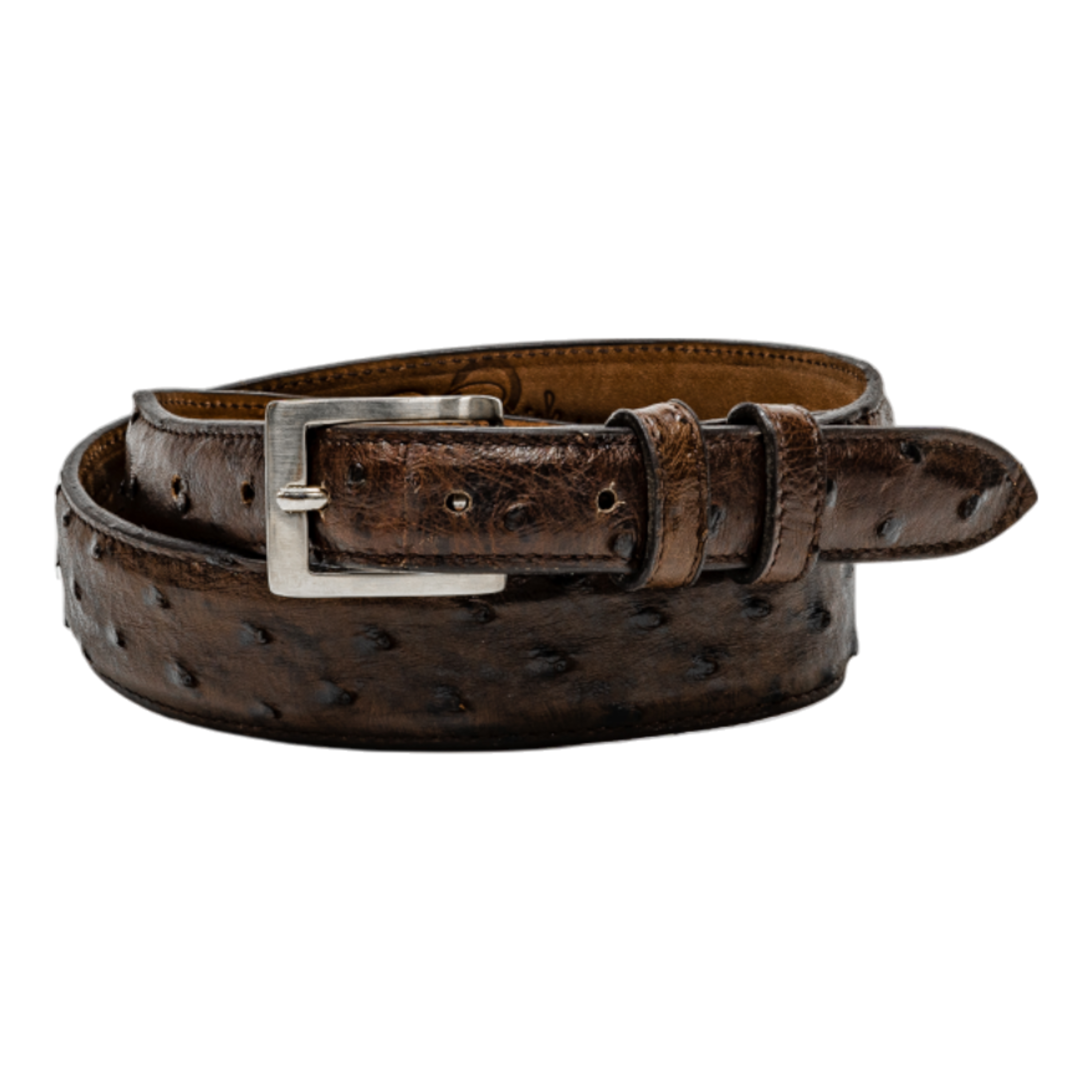 Rod Patrick Belt 1.25 Taper - Nicotine Full Quill Ostrich