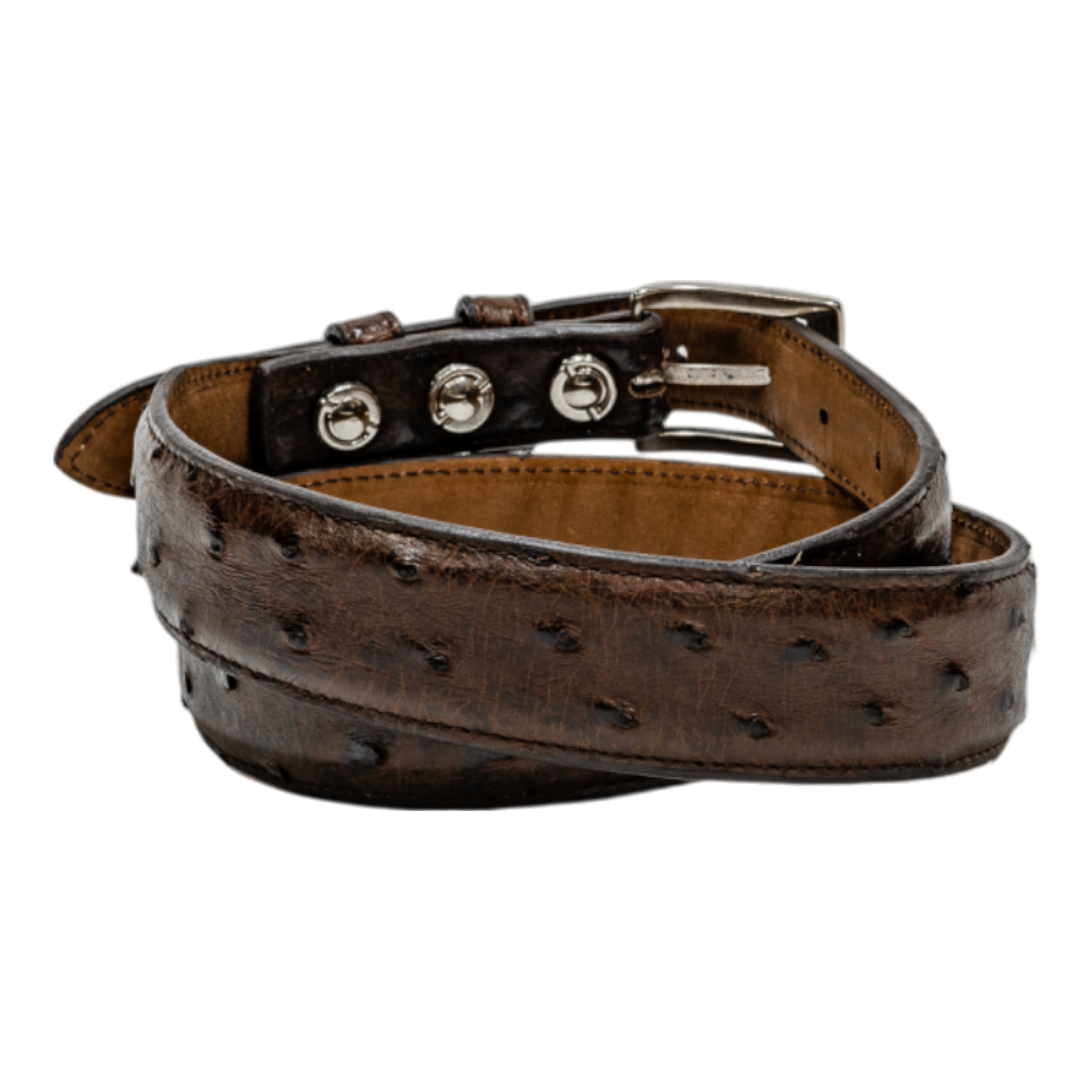 Rod Patrick Belt 1.25 Taper - Nicotine Full Quill Ostrich