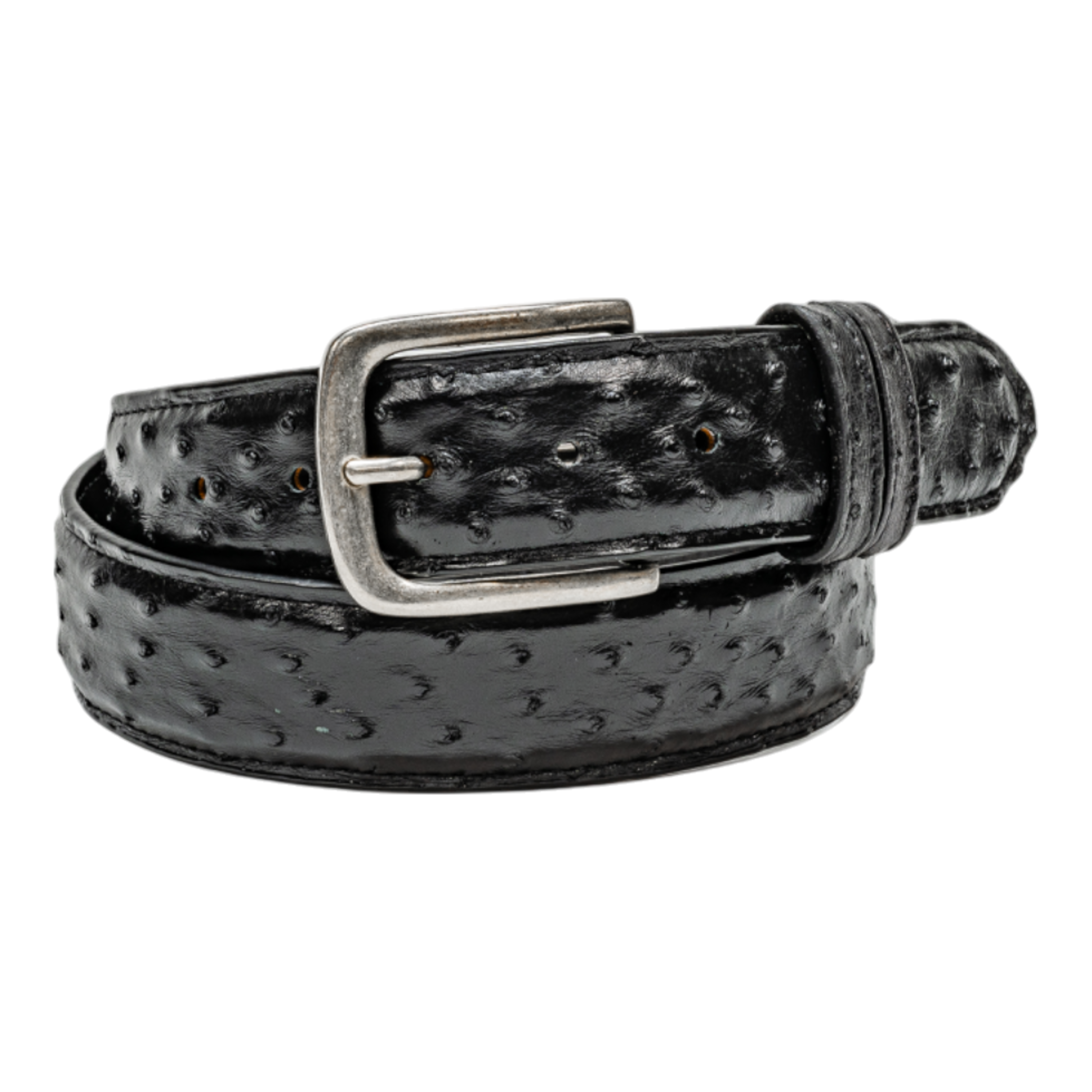Rod Patrick Belt 1.5 Straight - Black Full Quill Ostrich
