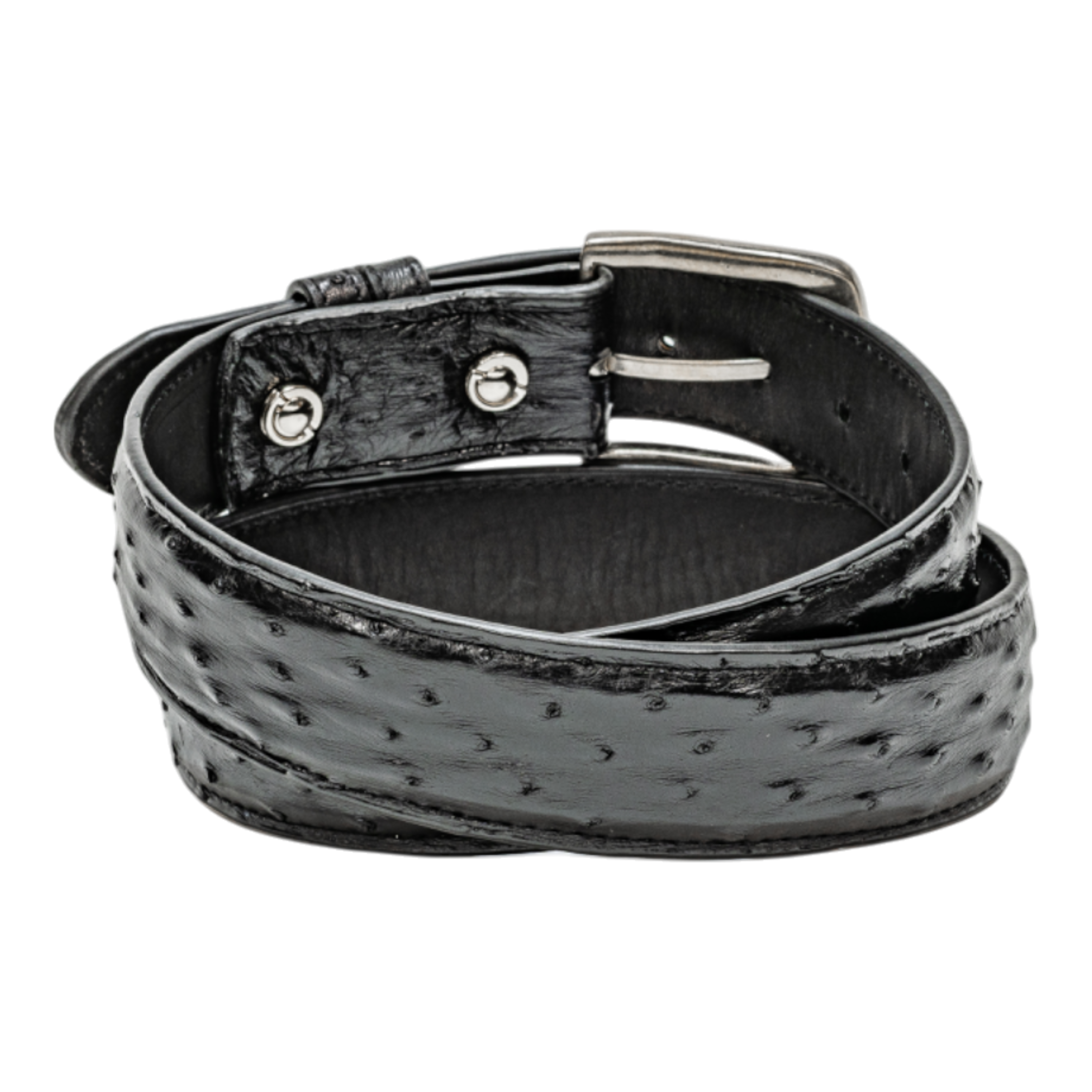 Rod Patrick Belt 1.5 Straight - Black Full Quill Ostrich