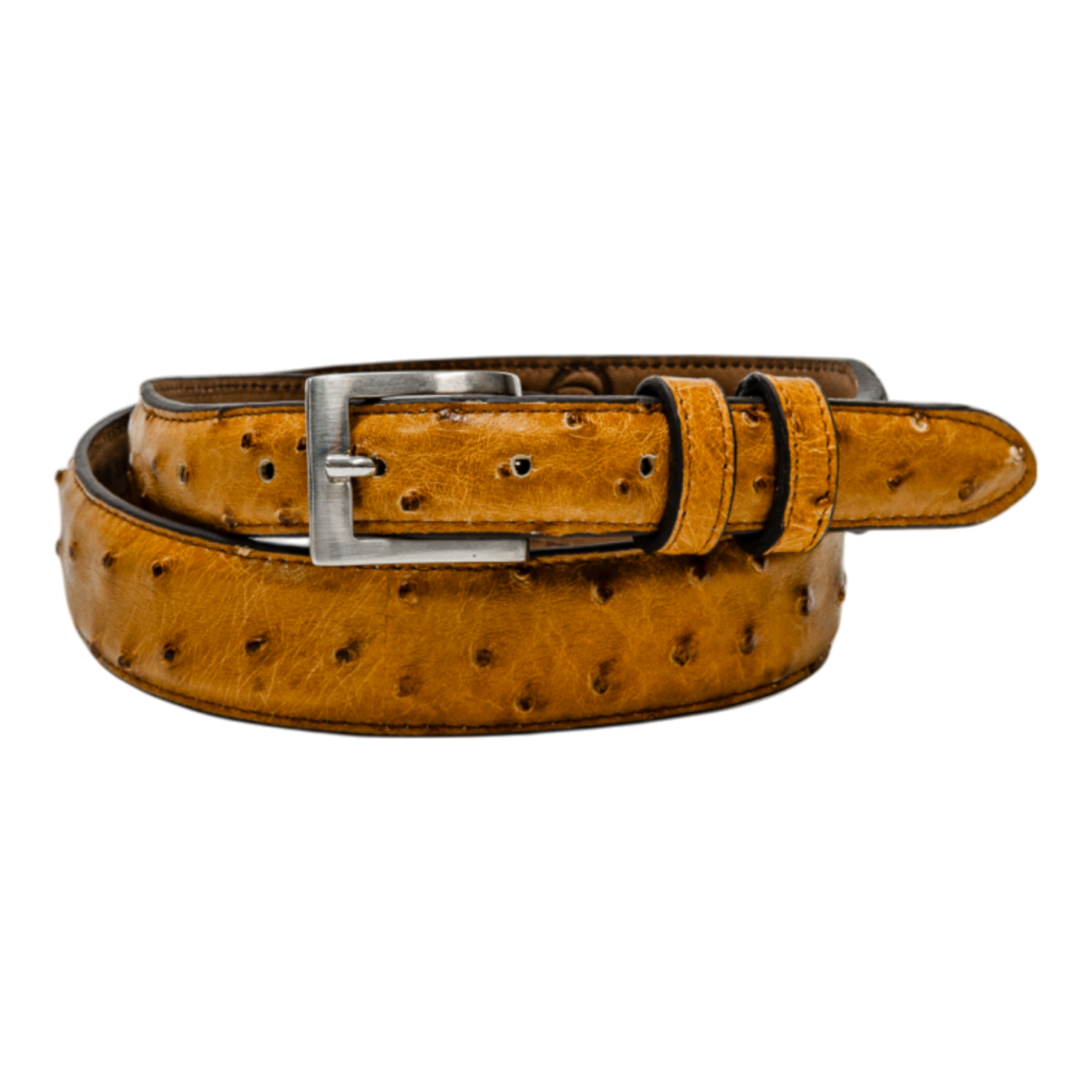 Rod Patrick Belt 1.25 Taper - Mad Dog Saddle Full Quill Ostrich