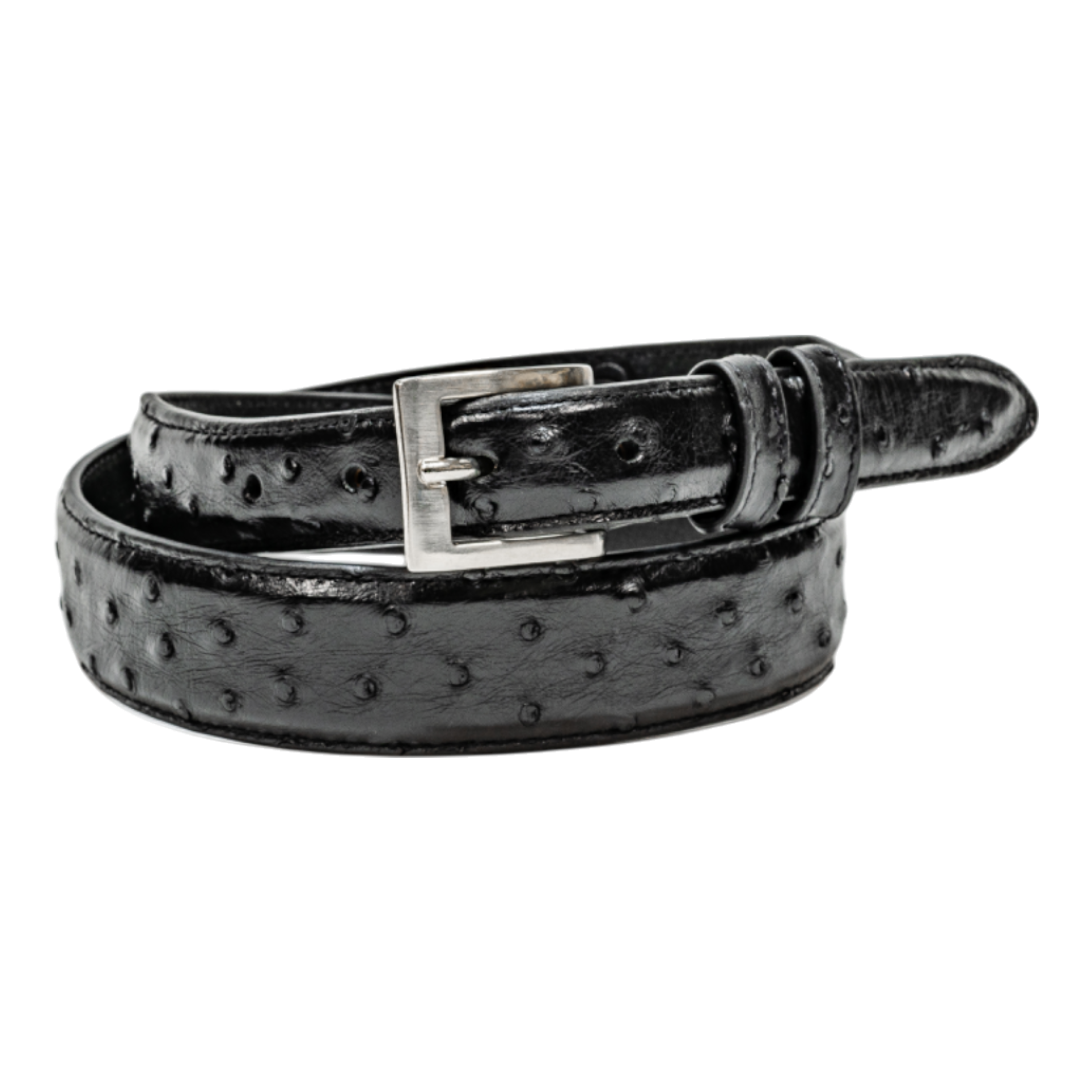 Rod Patrick Belt 1.25 Taper - Black Full Quill Ostrich