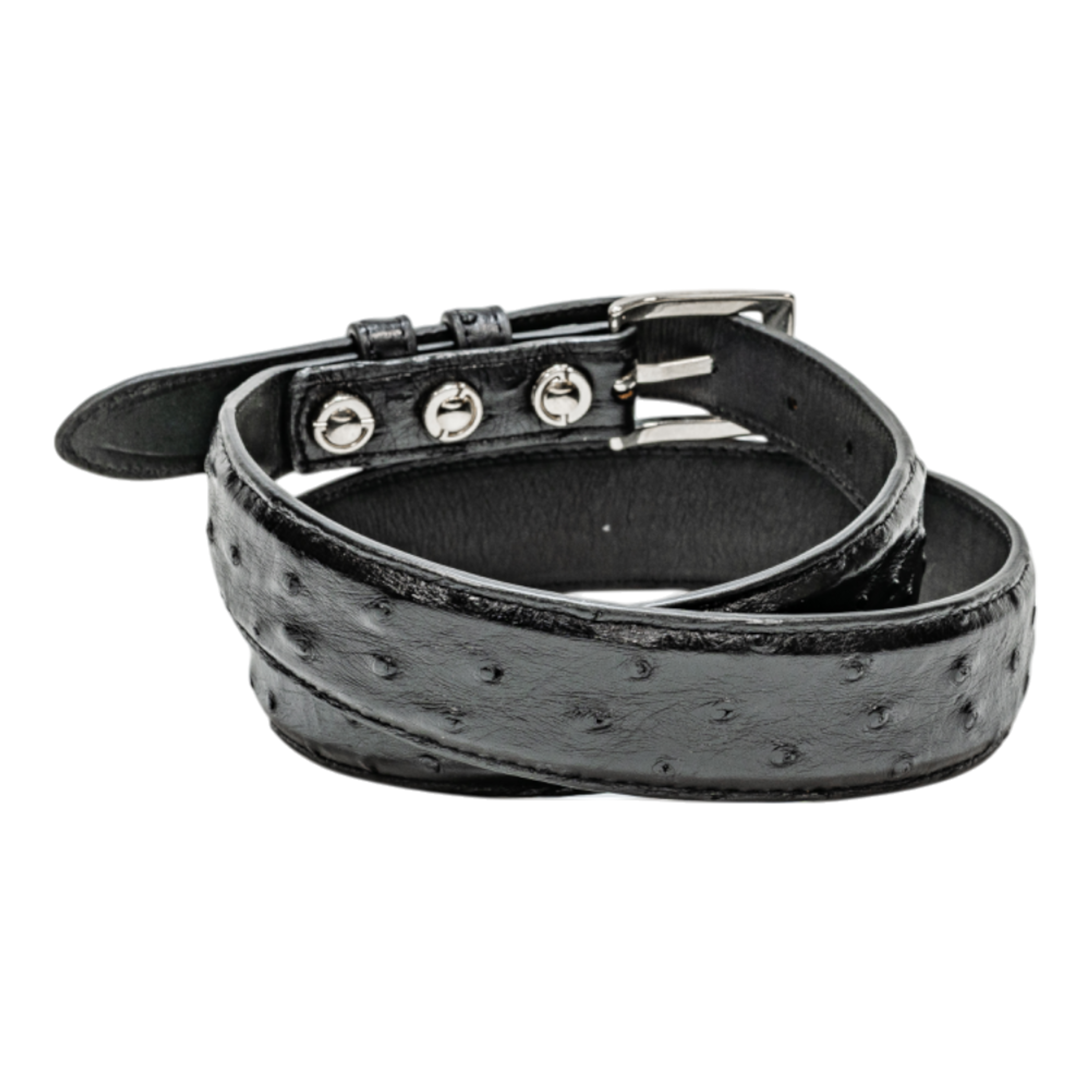 Rod Patrick Belt 1.25 Taper - Black Full Quill Ostrich