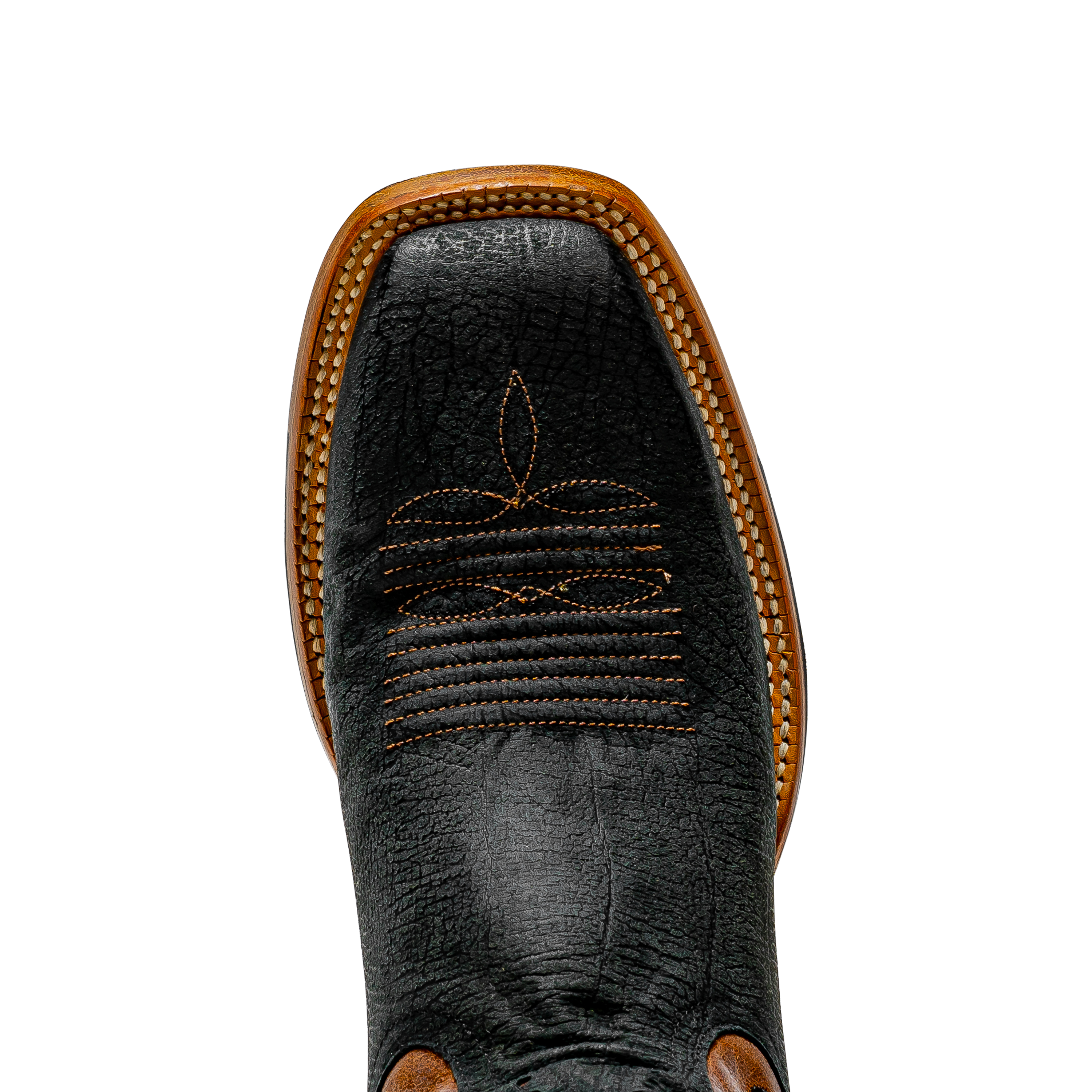 Rod Patrick BLACK KANGAROO (D)