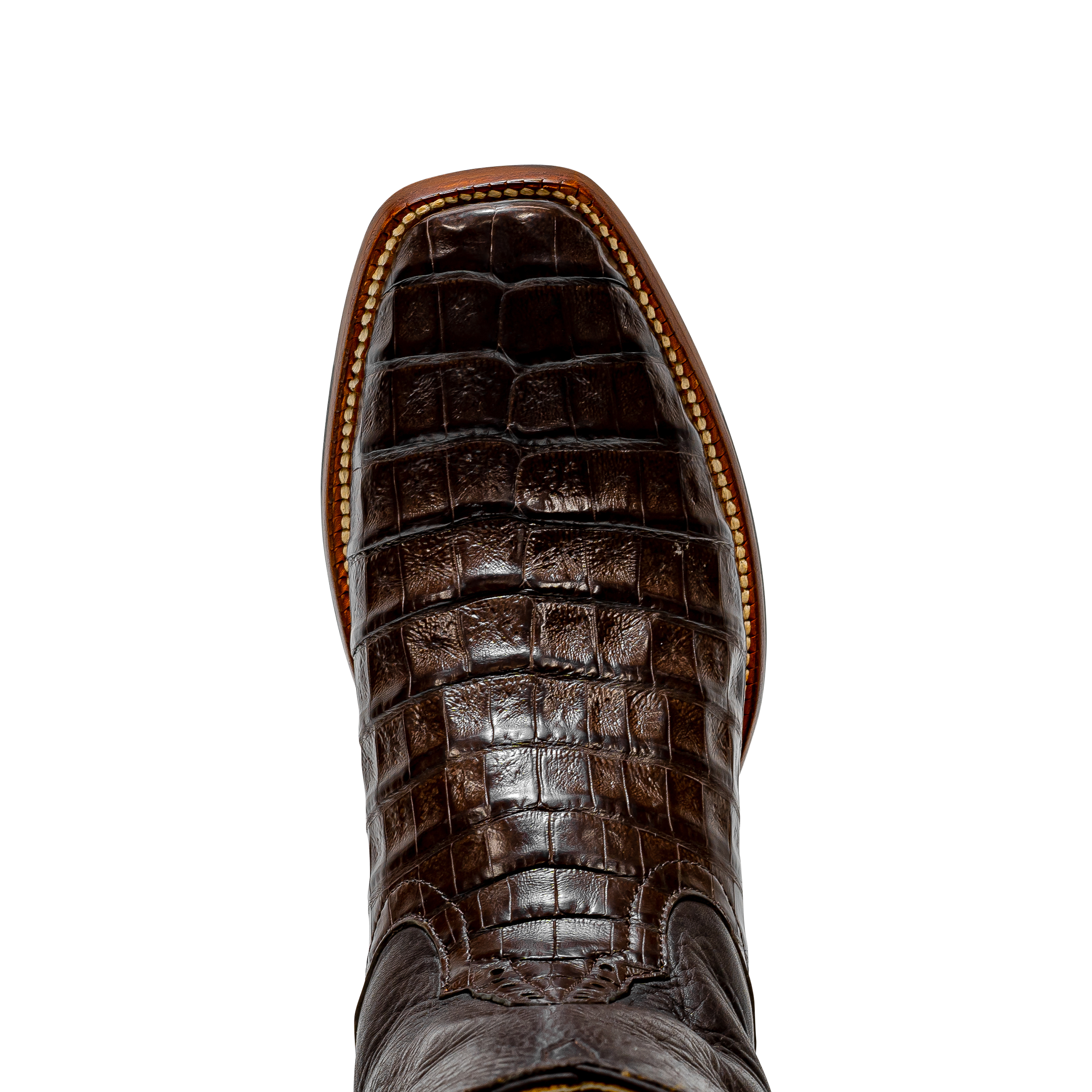 Rod Patrick CHOCOLATE CAIMAN BELLY (D)