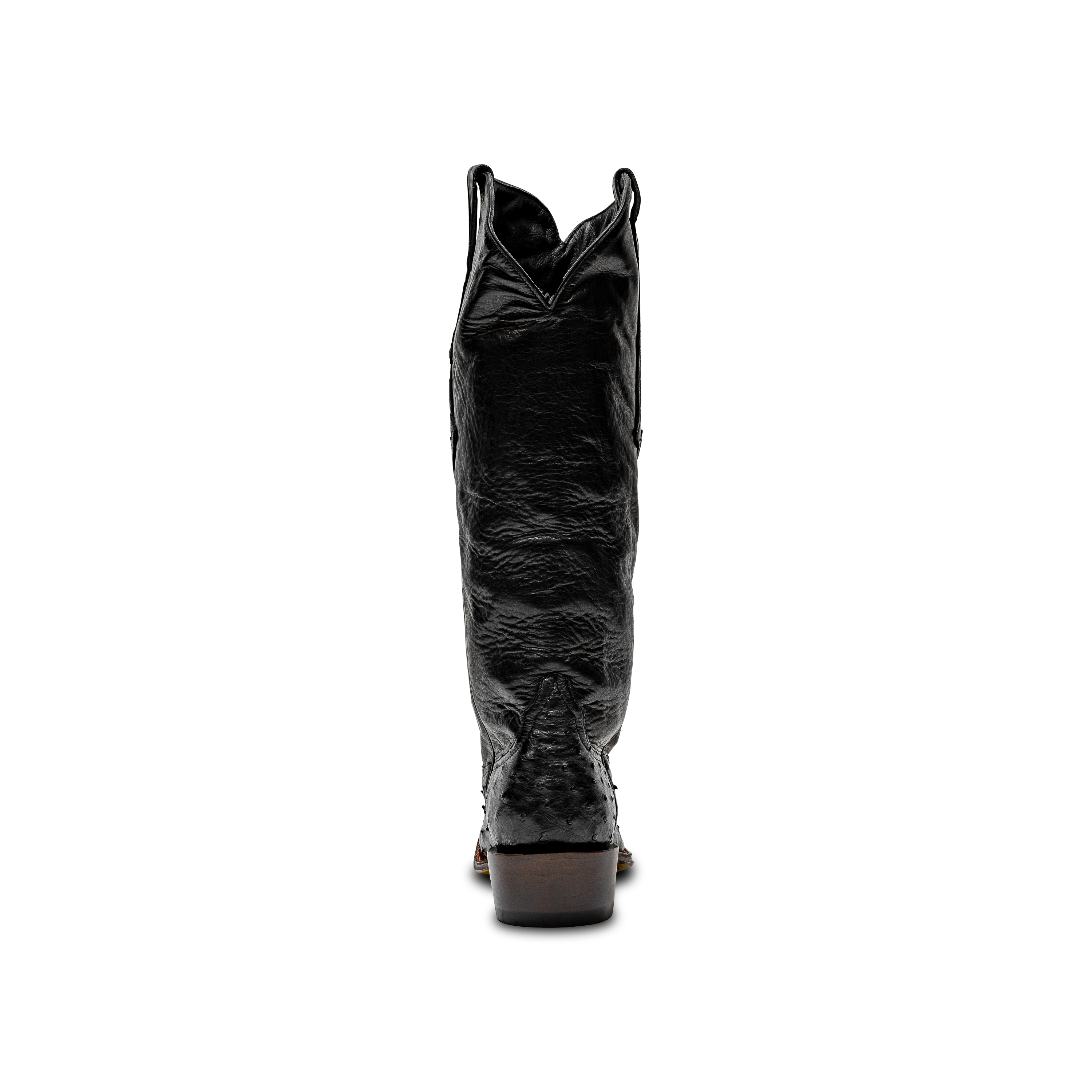 Rod Patrick BLACK CC FULL QUILL OSTRICH (B)