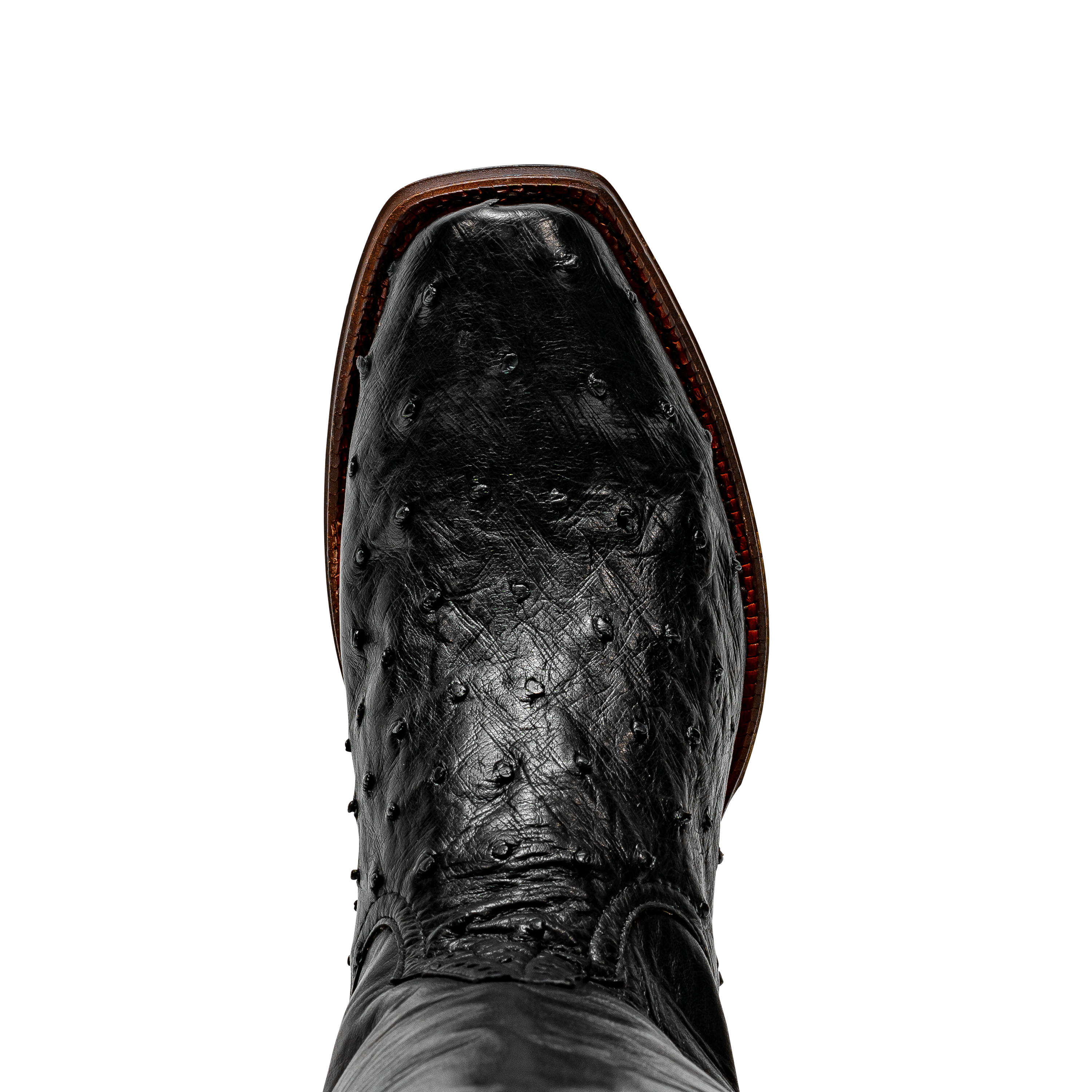 Rod Patrick BLACK CC FULL QUILL OSTRICH (B)