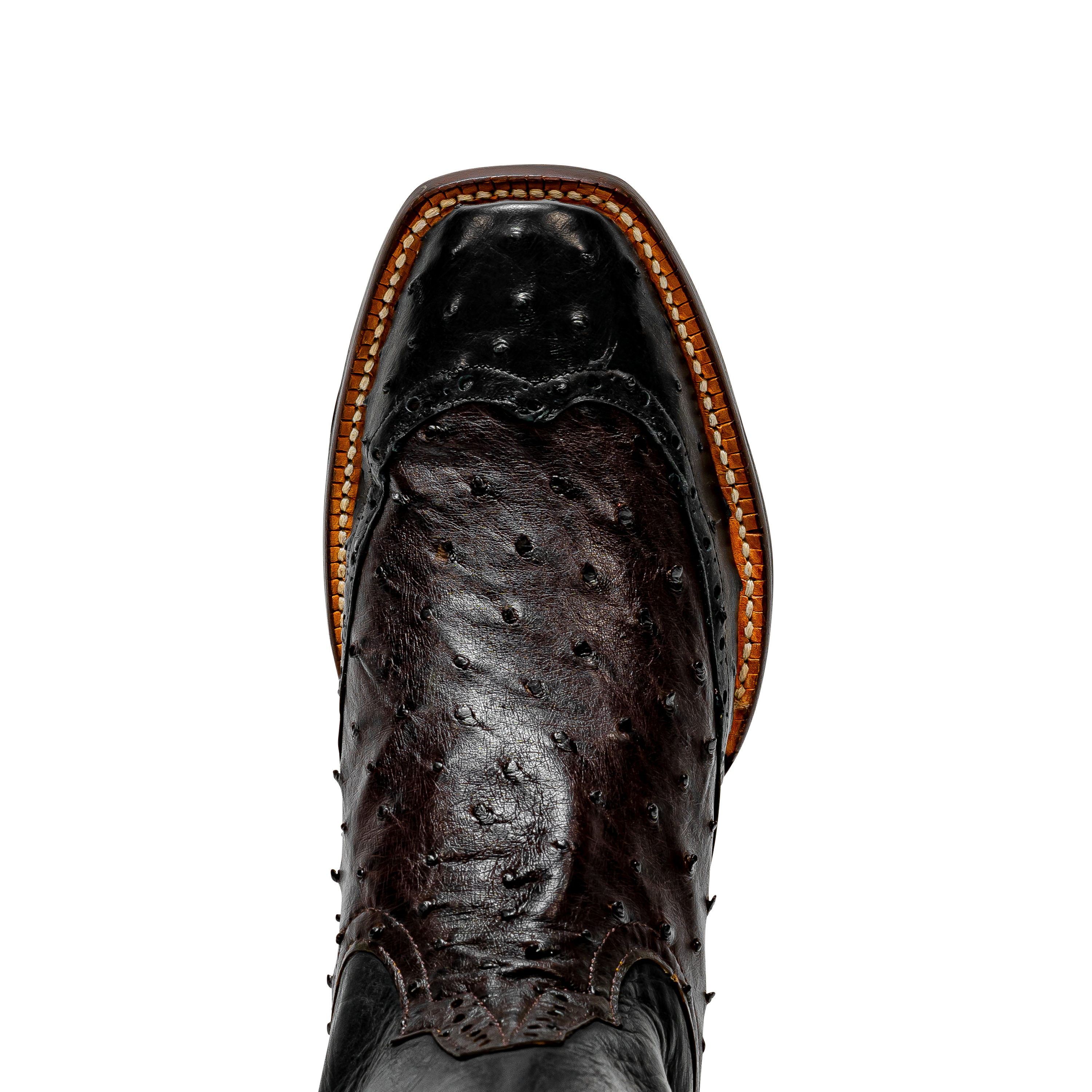 Rod Patrick NICOTINE FULL QUILL OSTRICH with 3/4 BLACK FQ WINGTIP (D)