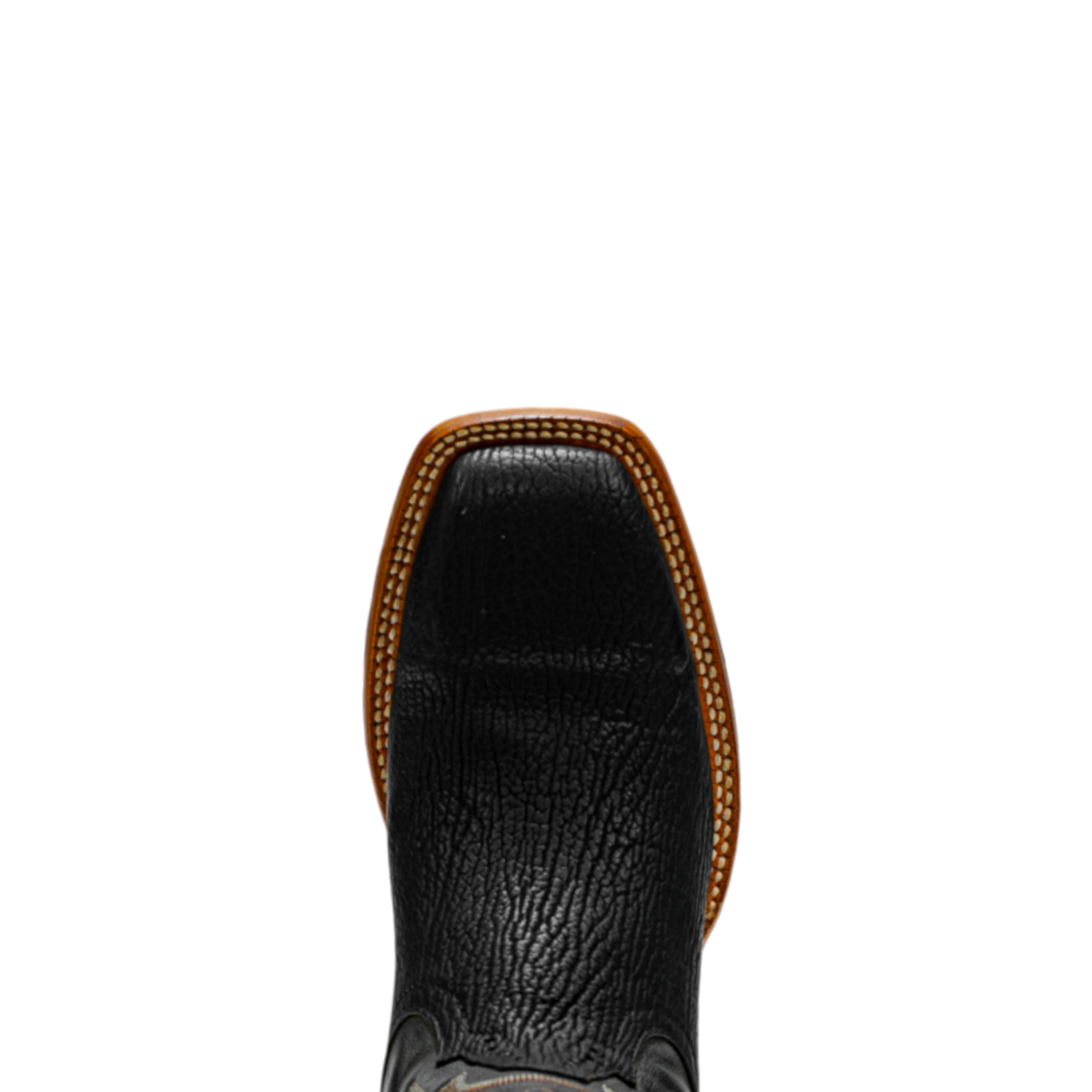 Rod Patrick BLACK SHARK (D)