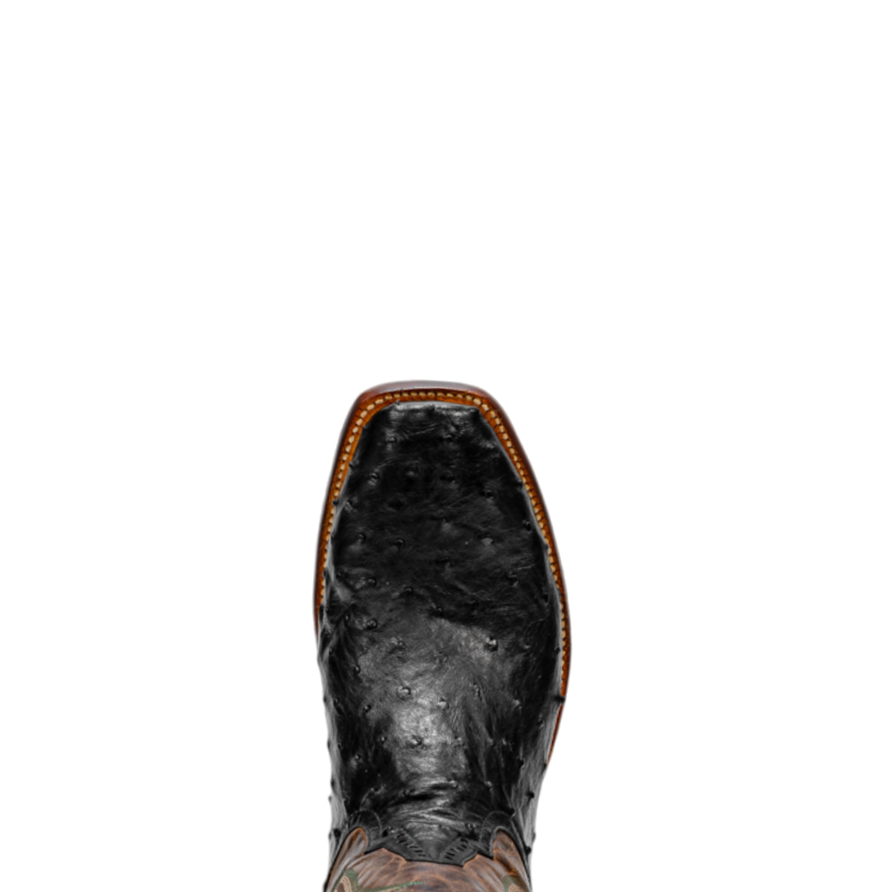 Rod Patrick BLACK FULL QUILL OSTRICH (D)