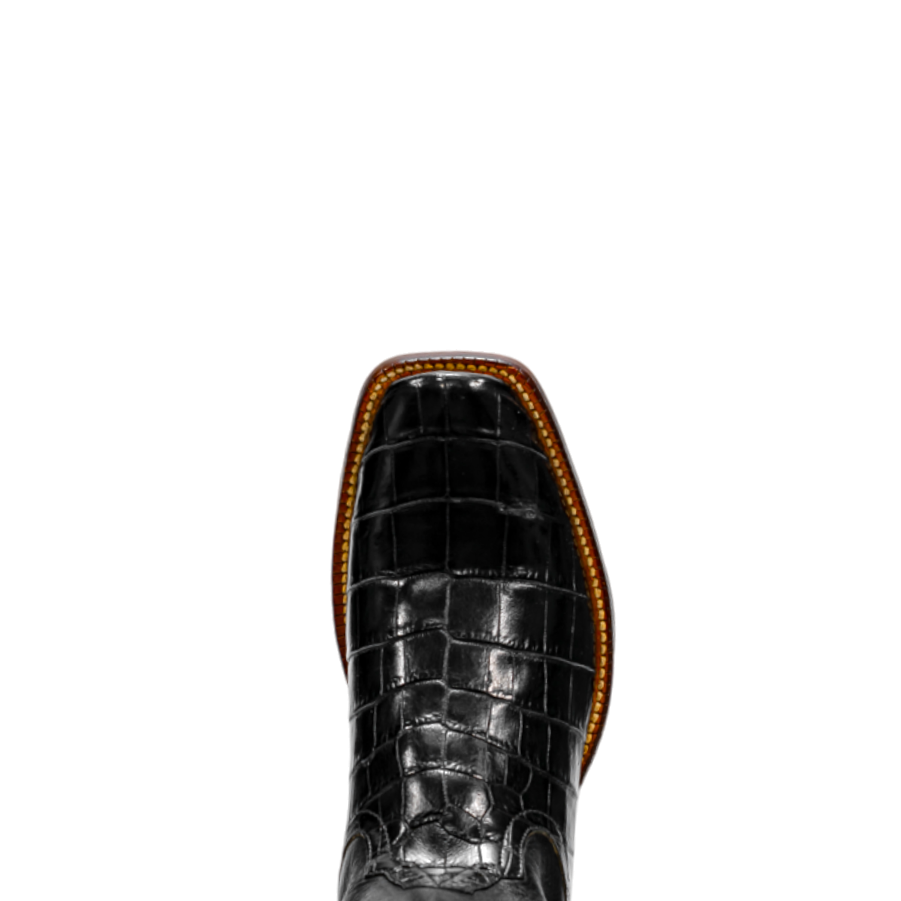 Rod Patrick BLACK NILE CROCODILE (D)