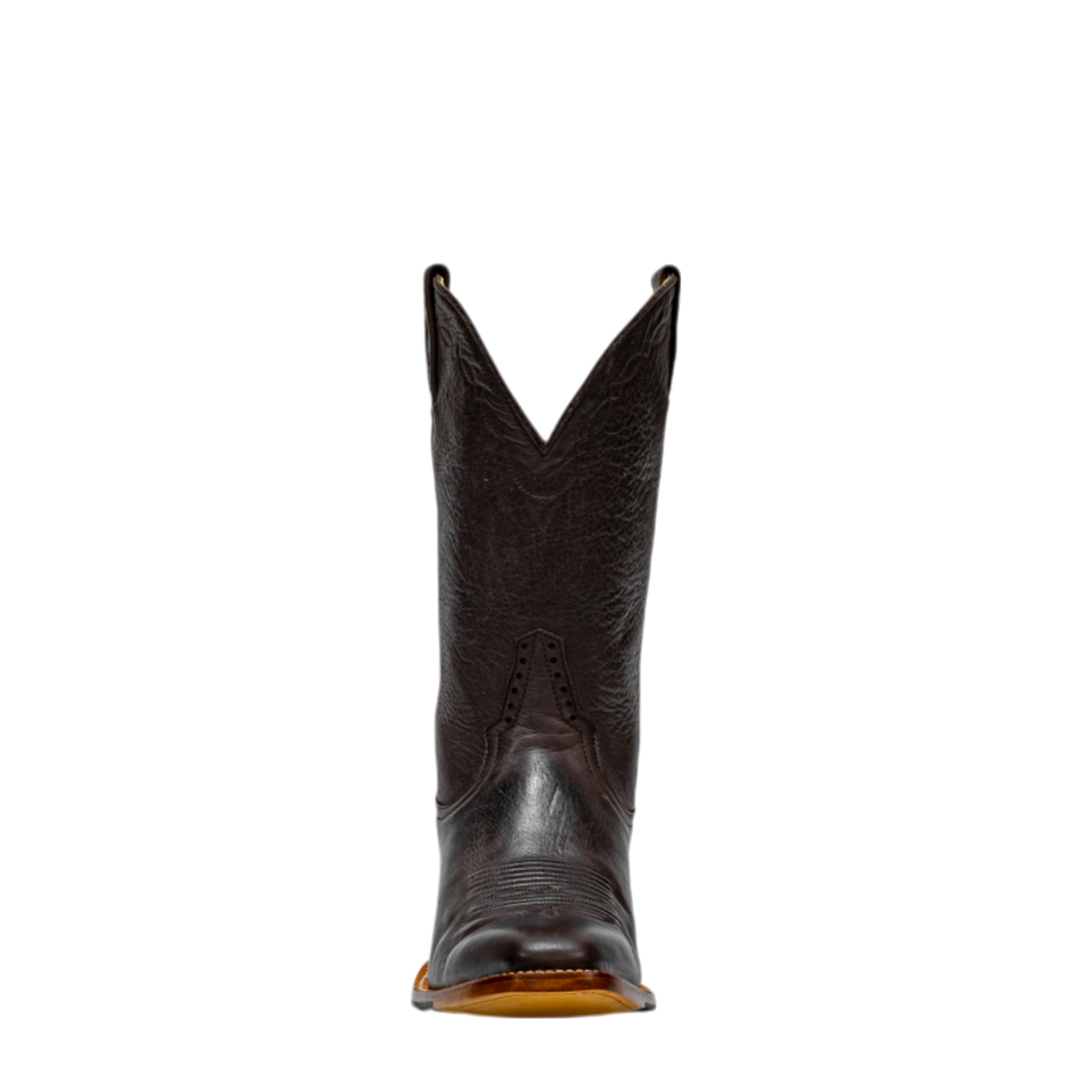 Rod Patrick CHOCOLATE CAYUSE (D)
