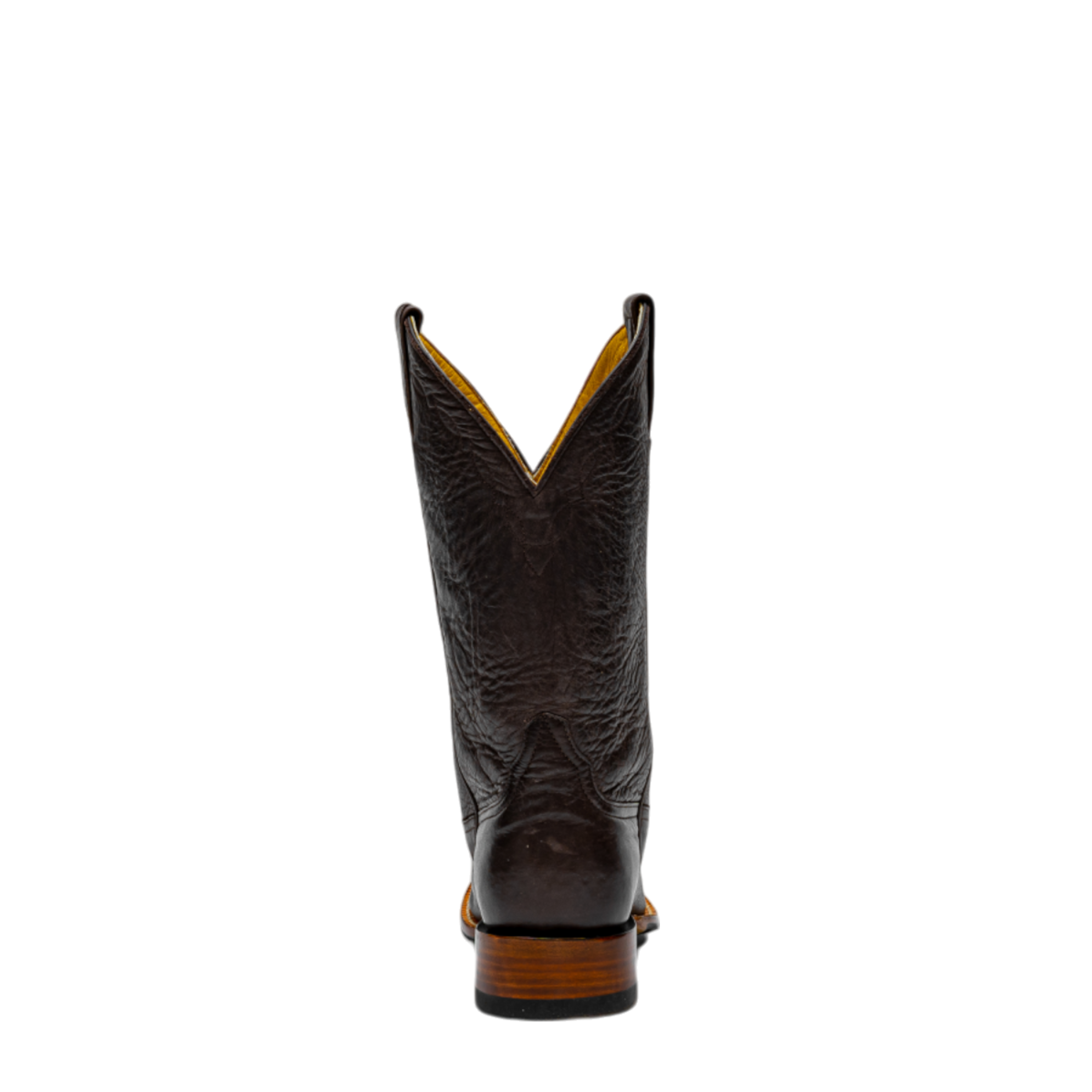 Rod Patrick CHOCOLATE CAYUSE (D)
