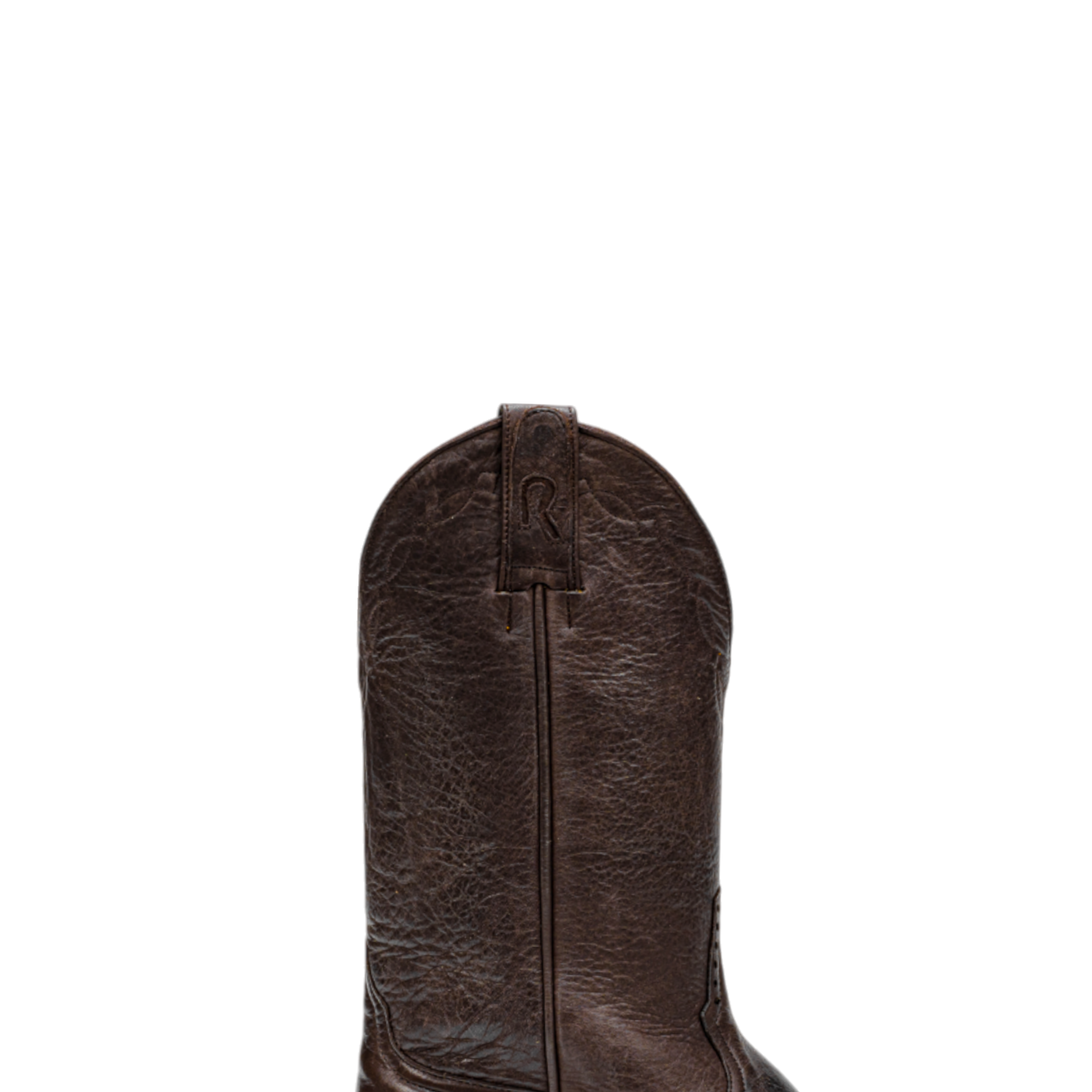 Rod Patrick CHOCOLATE CAYUSE (D)