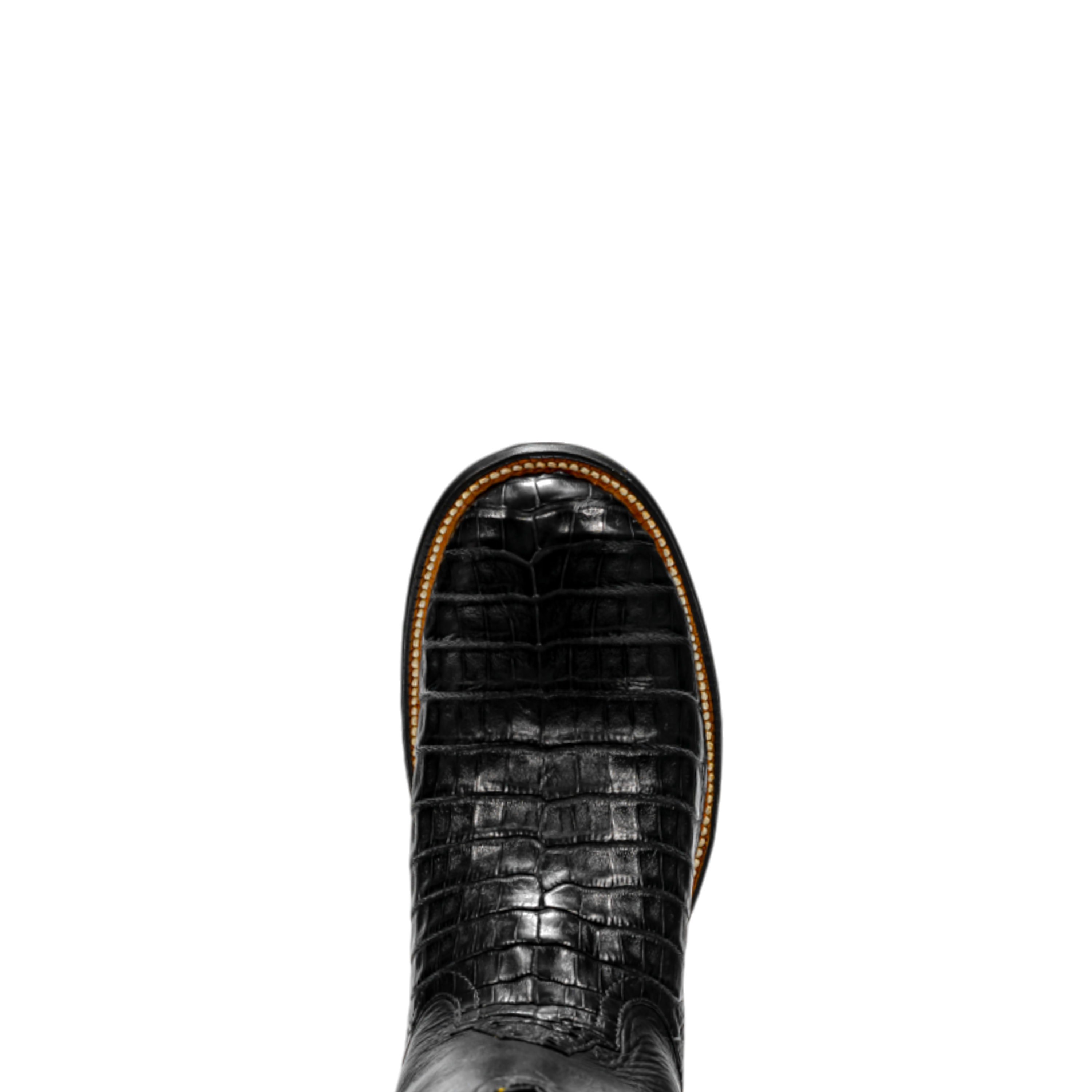 Rod Patrick BLACK CAIMAN CROCODILE (D)