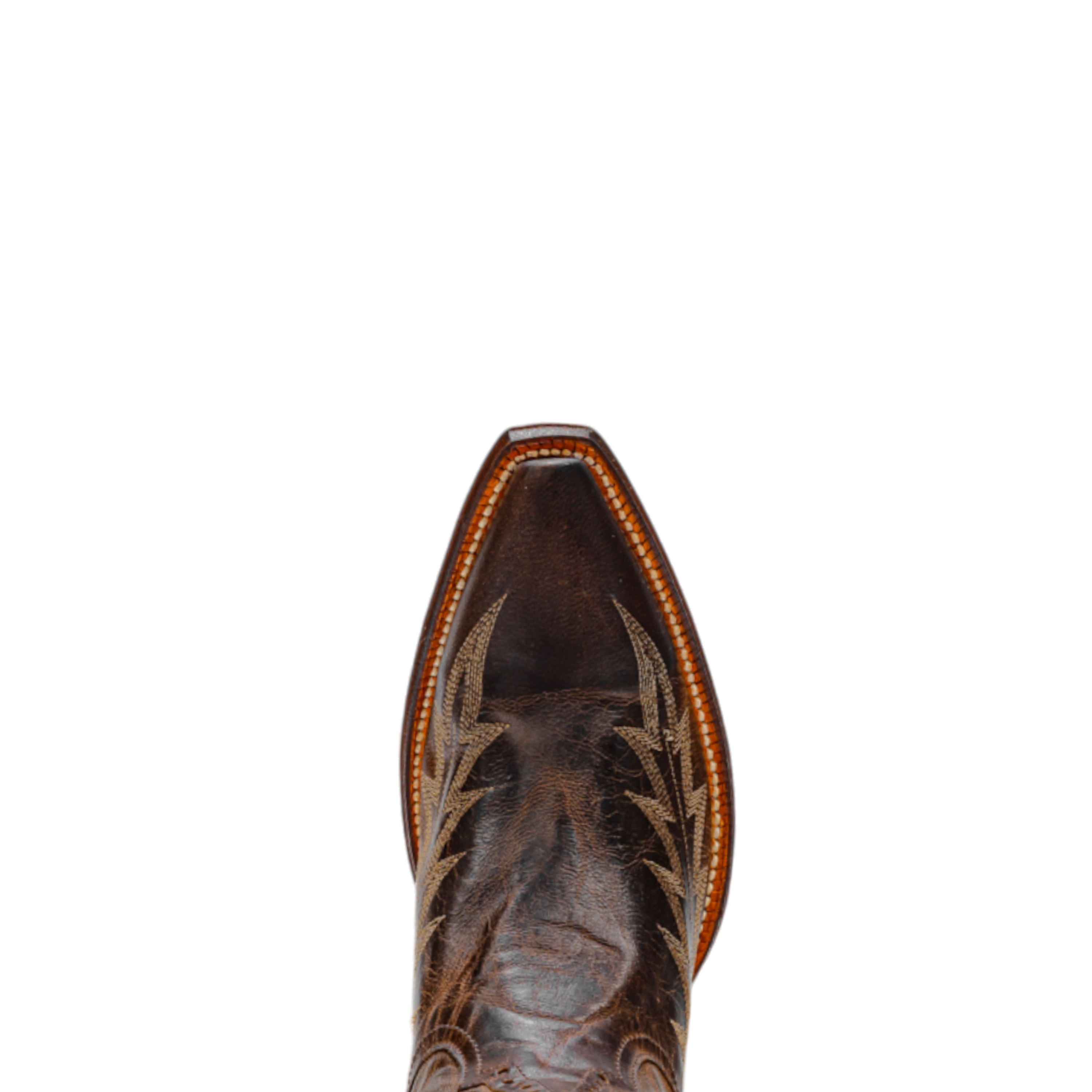 Rod Patrick CHOCOLATE MAD DOG WITH ZIPPER (C)