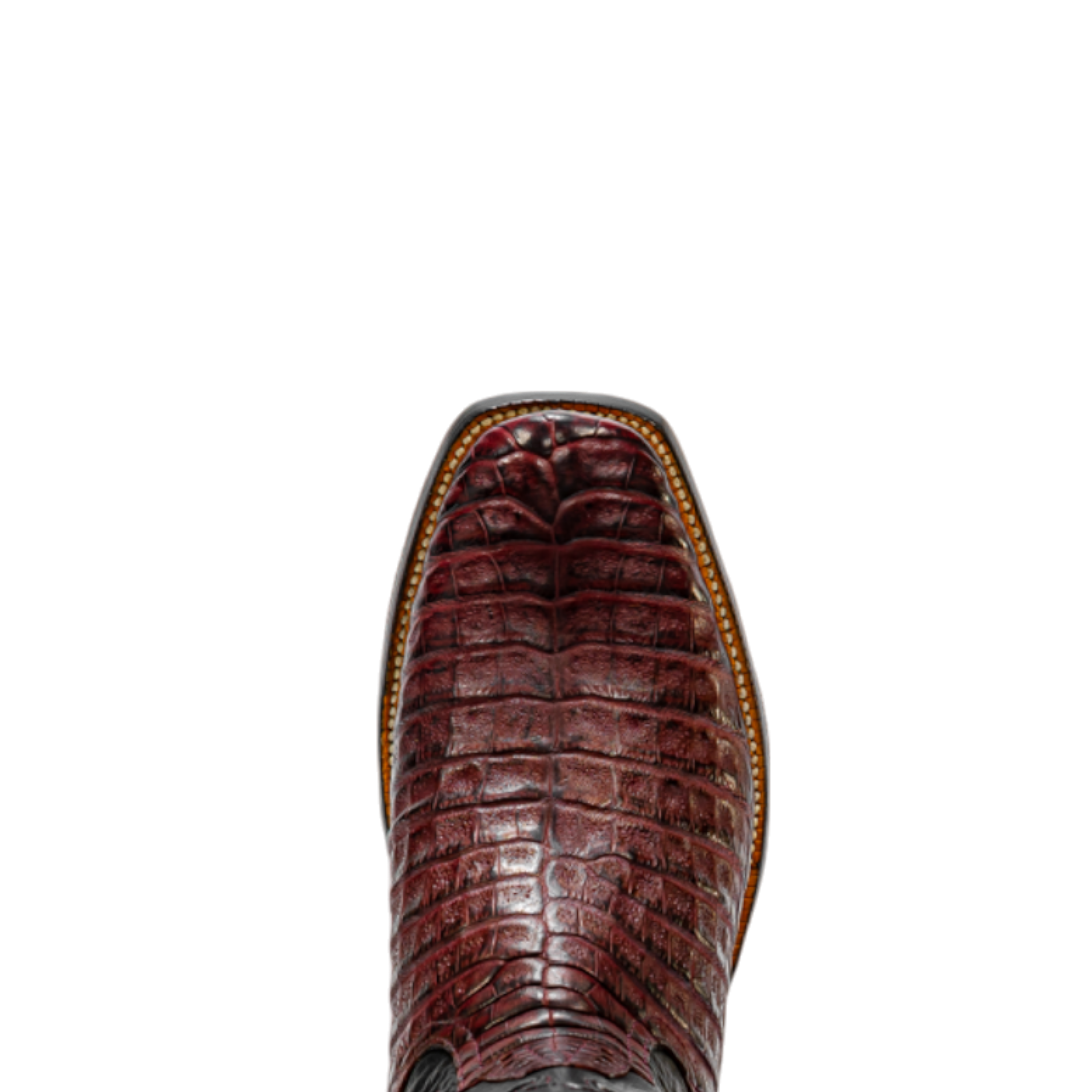 ROD PATRICK BORDEAUX BELLY CAIMAN (D)