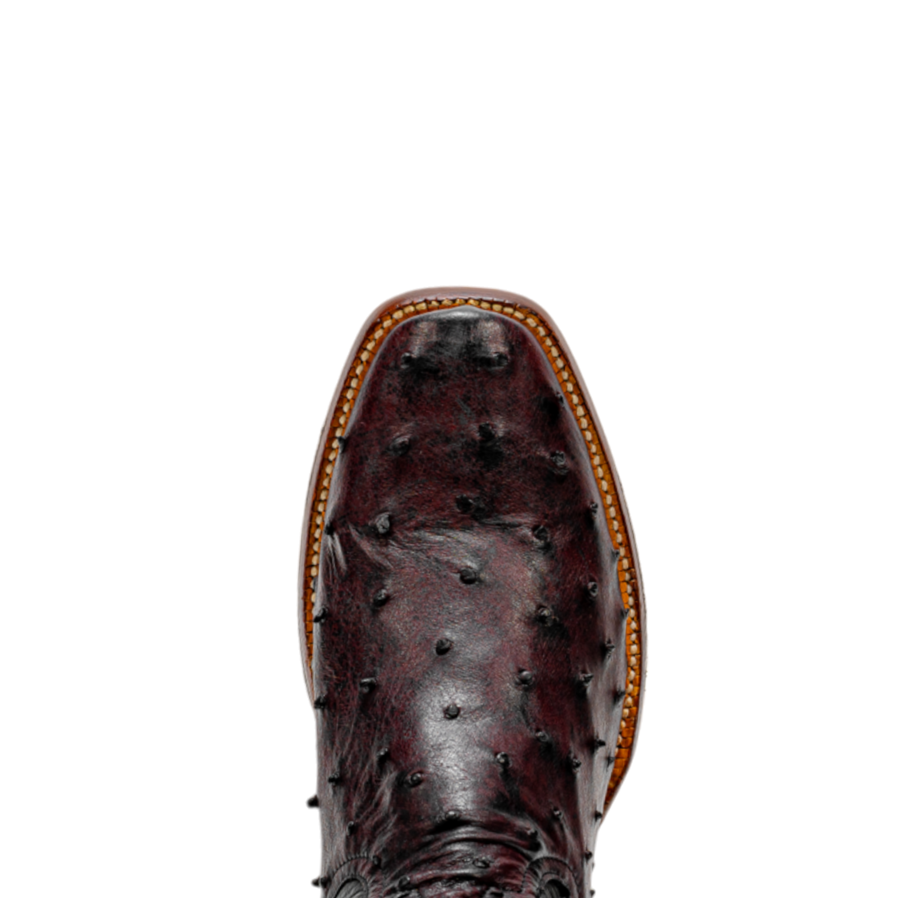 ROD PATRICK BLACK CHERRY FULL QUILL (D)