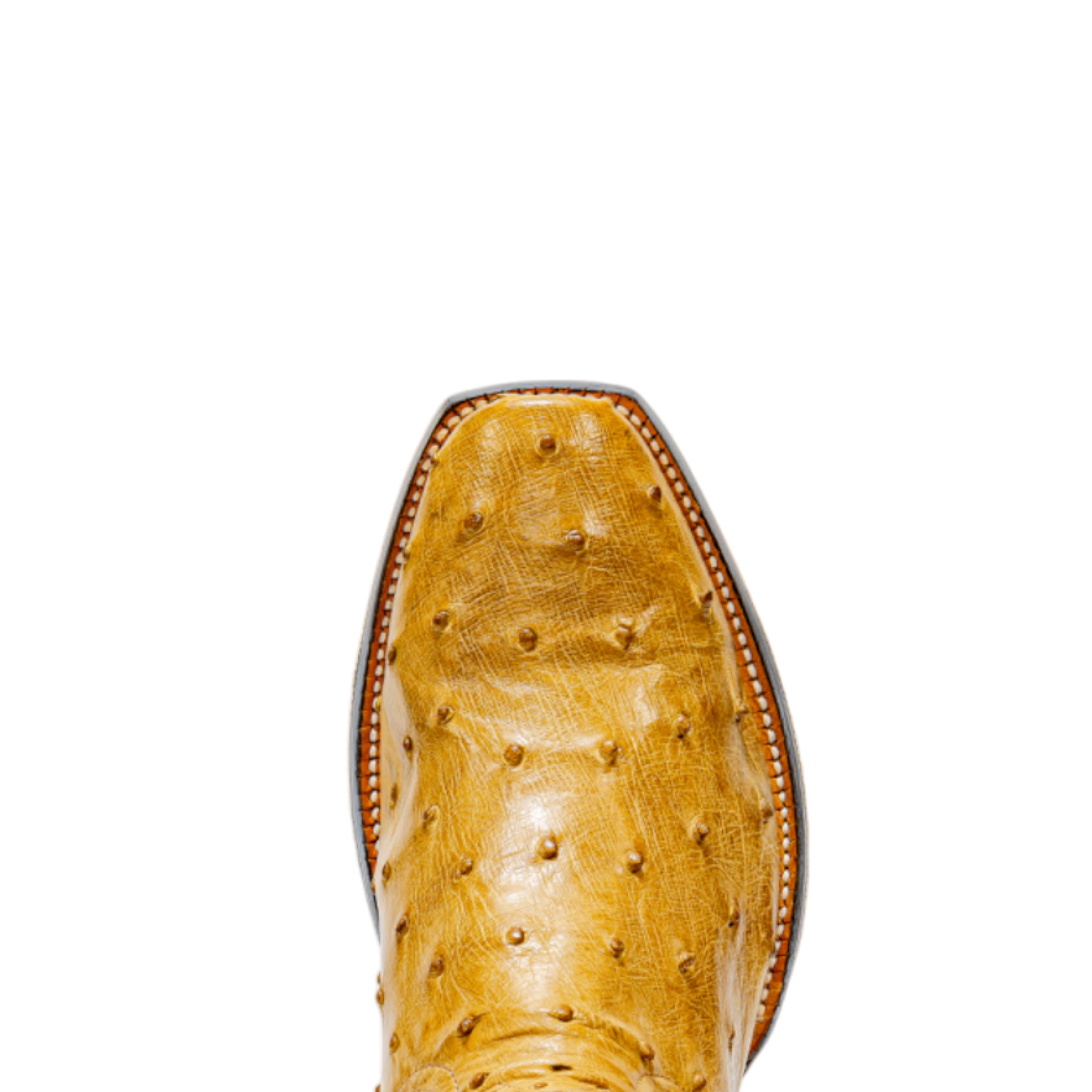 ROD PATRICK ORIX FULL QUILL OSTRICH (D)
