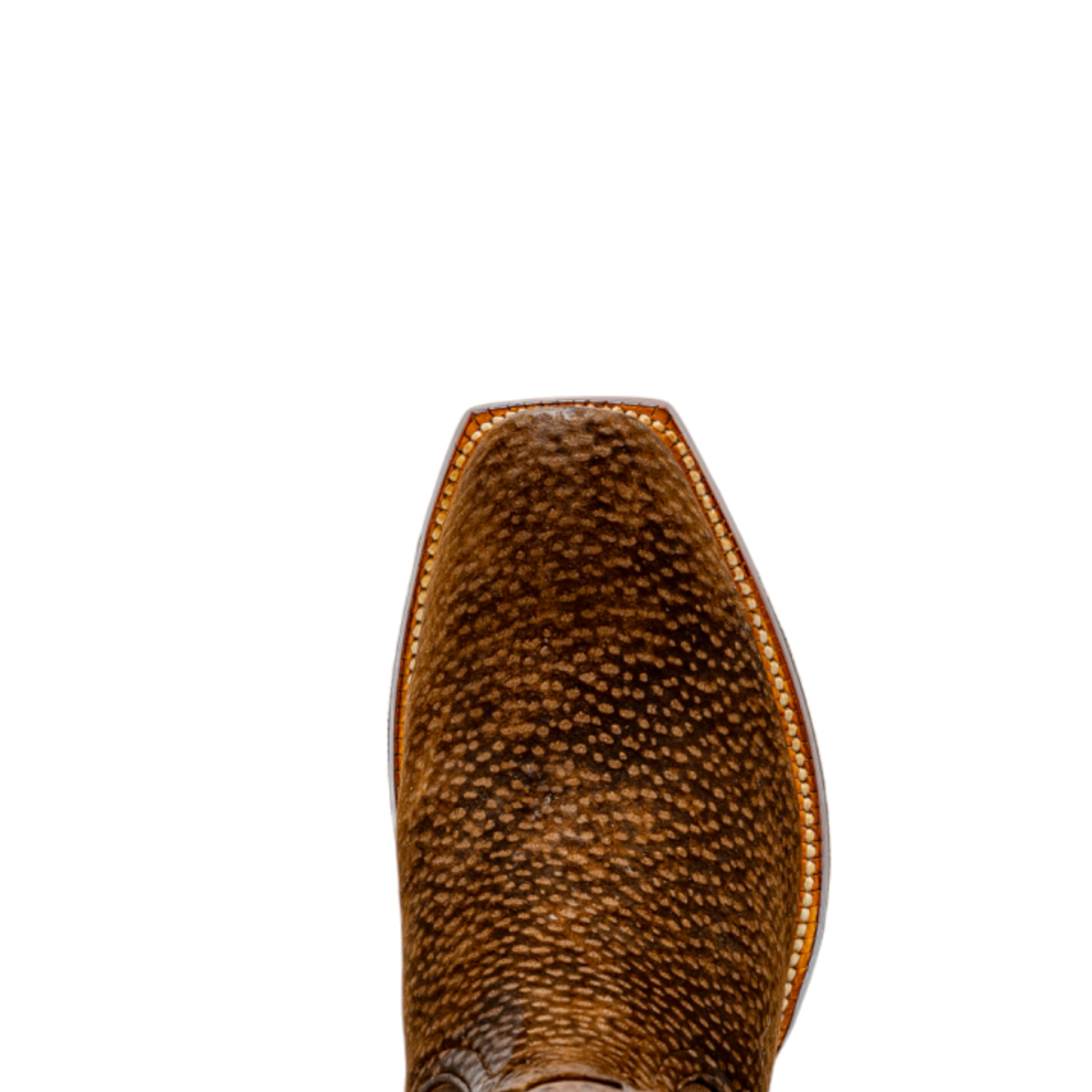 ROD PATRICK Dark Brown Carpincho (D)