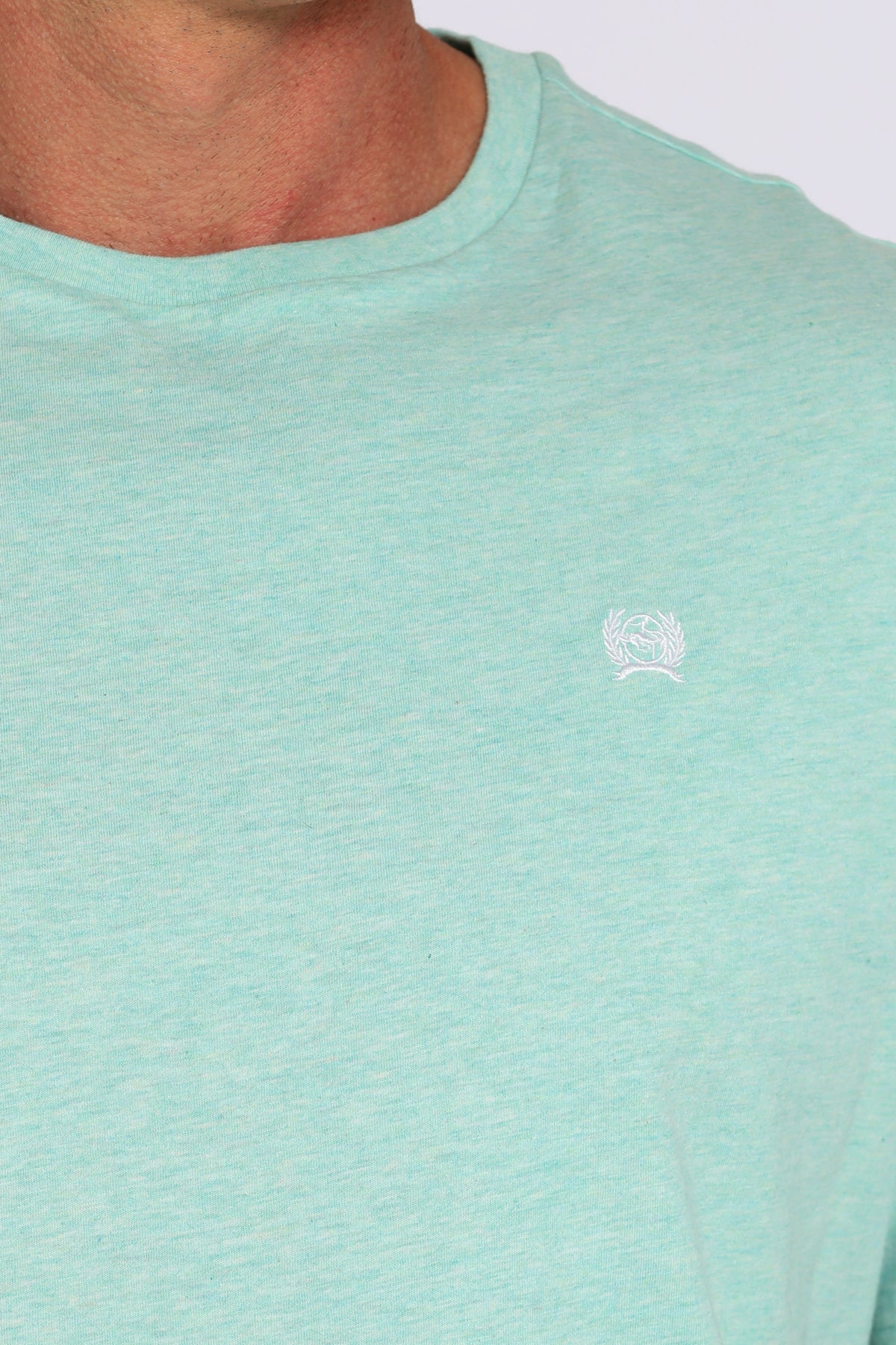 Close-up of a person wearing a light green t-shirt with a small logo on the chest.