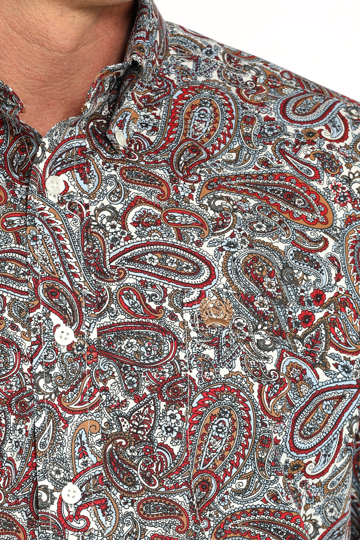 Close-up of a man wearing a long sleeve button-down shirt with an all-over paisley pattern