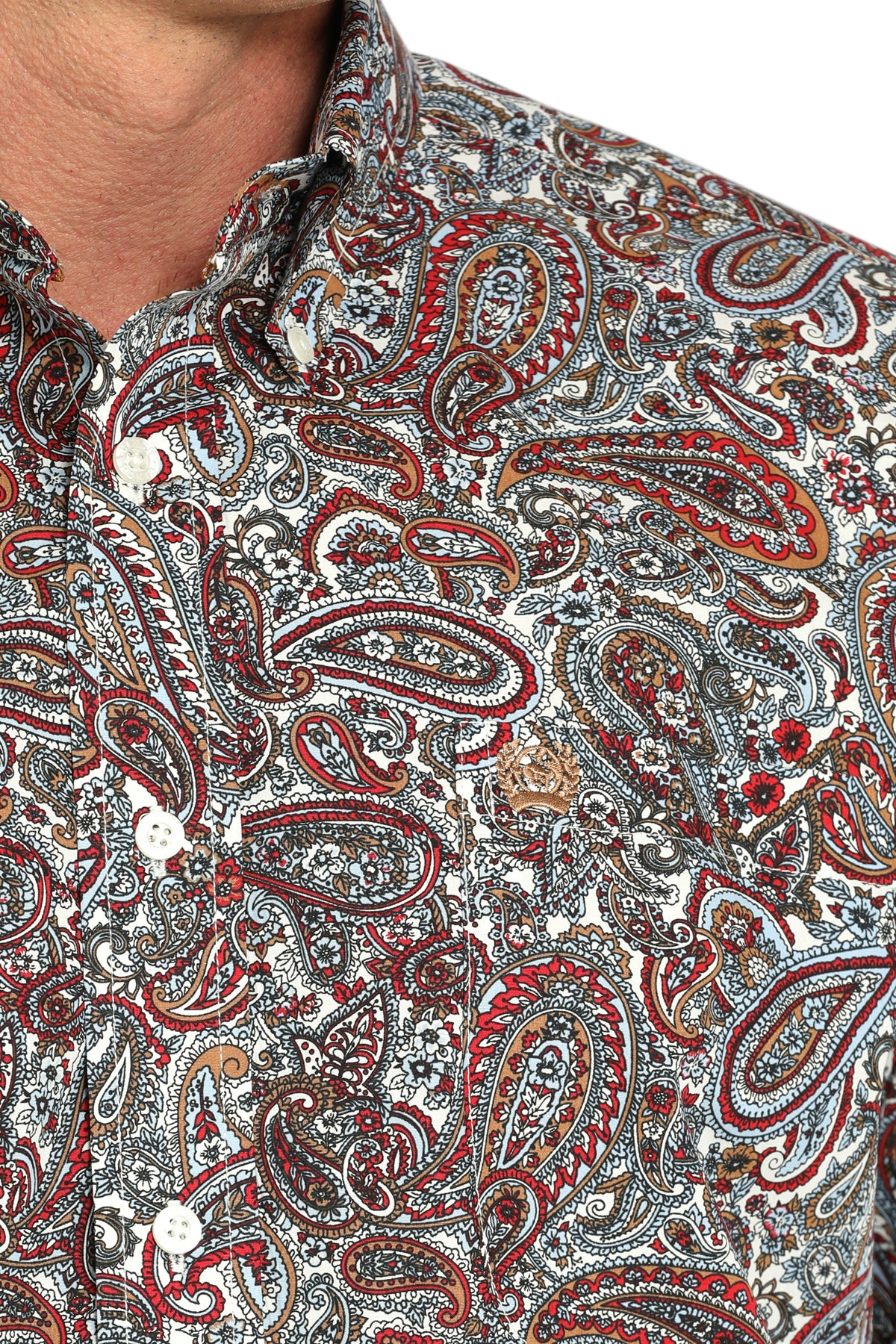 Close-up of a man wearing a patterned long sleeve button-down shirt on a transparent background