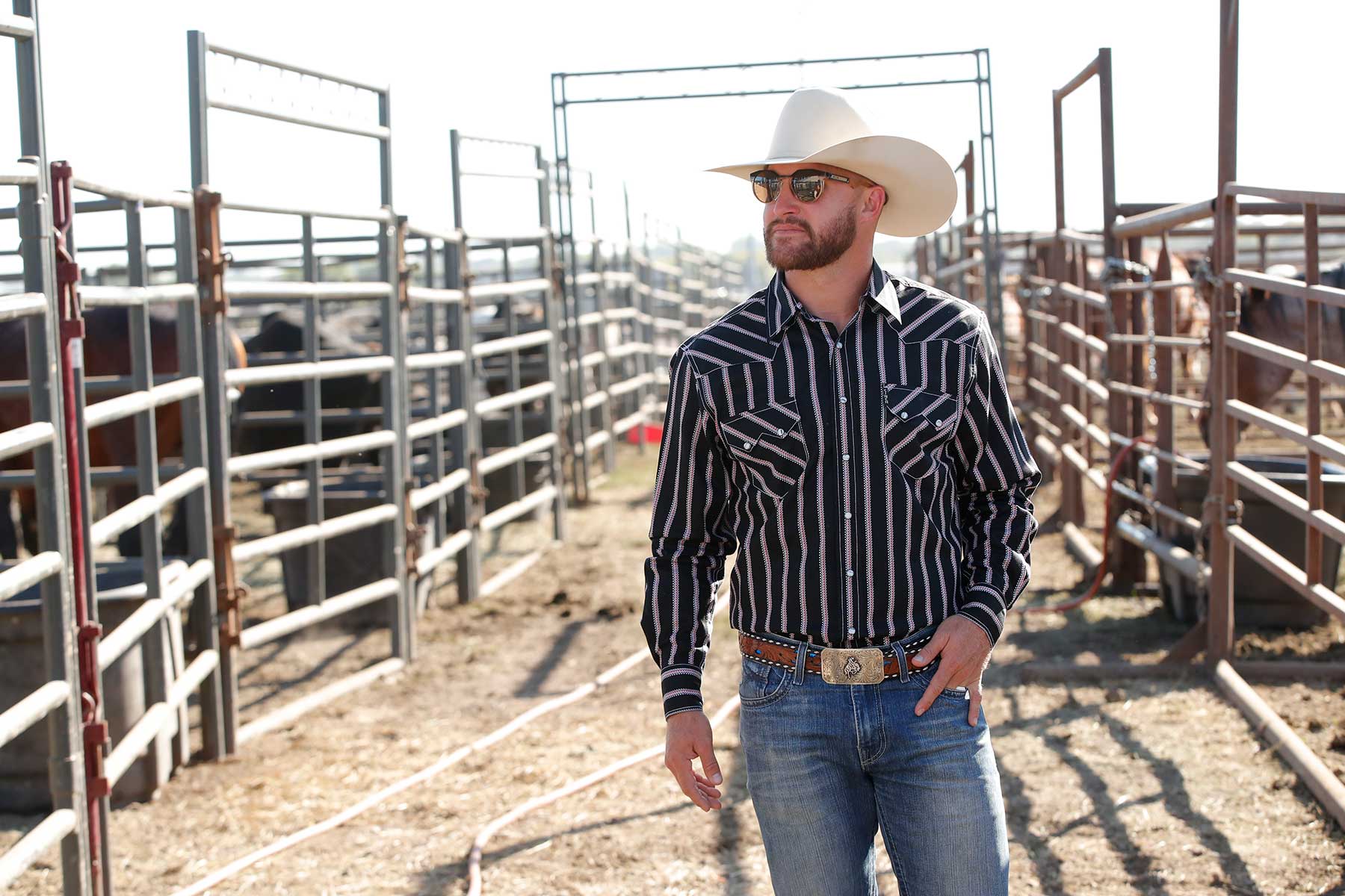 Man wearing a cream cowboy hat, sunglasses, black striped button-down shirt, blue jeans, and a belt buckle. He is standing in a cattle pen with metal fencing and looking off to the side