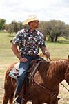 CINCH MENS SHORT SLEEVE PRINT ARENAFLEX SHIRT - WHITE