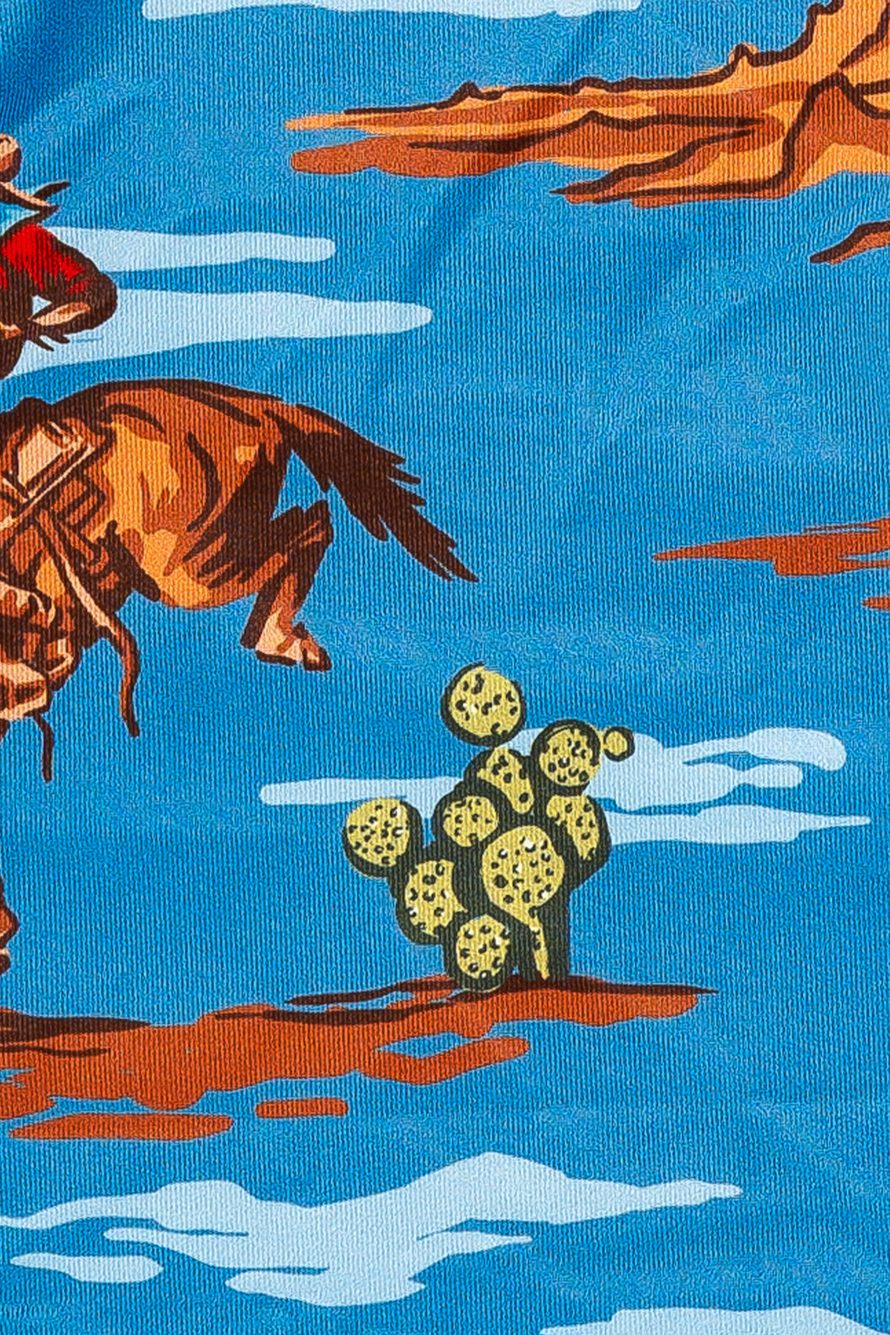 Close-up of men's Cinch underwear featuring an all-over 'bucking bronco in the desert' pattern