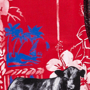 Close-up of men's Cinch underwear featuring an all-over 'cows and flowers' pattern on a red background