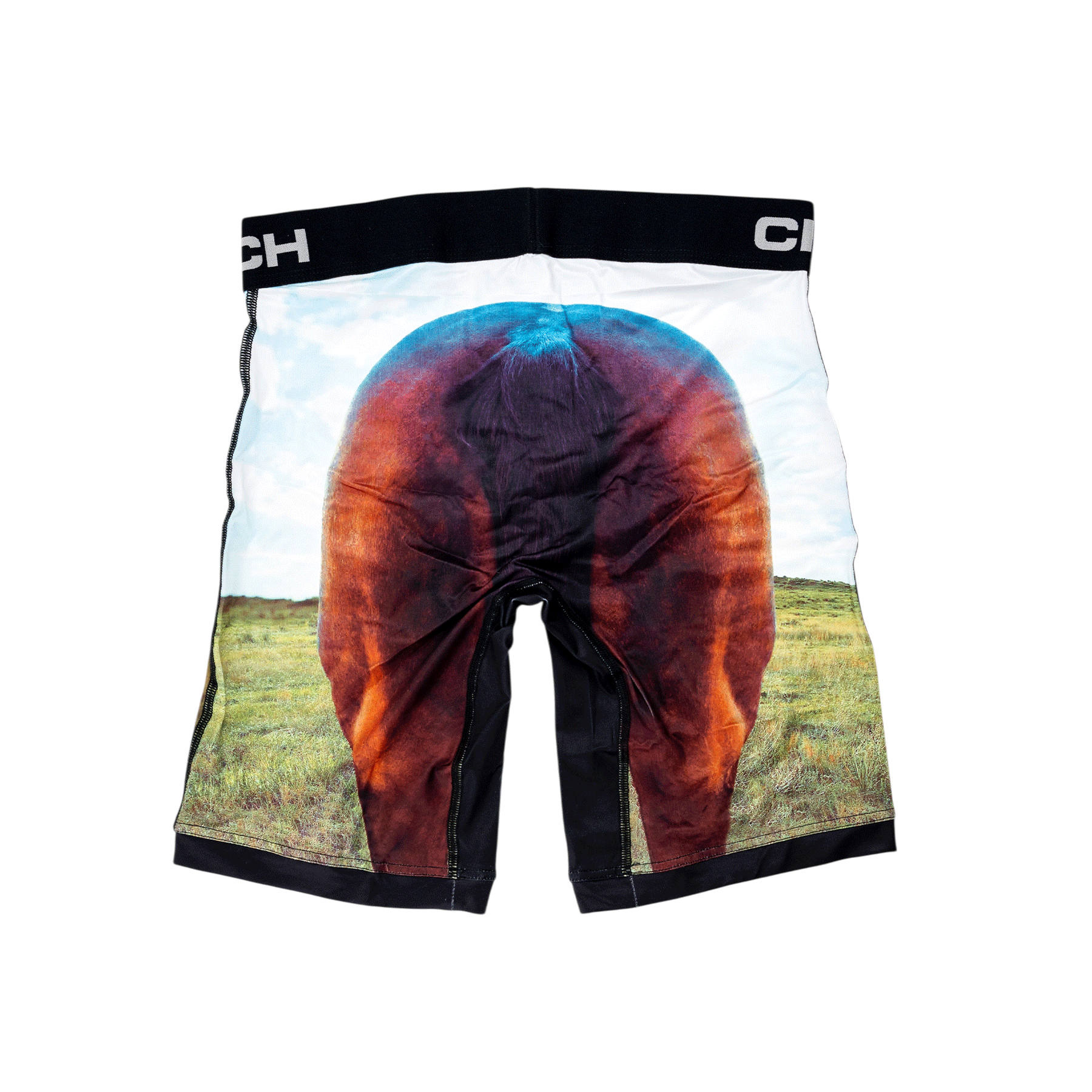 Back view of men's Cinch underwear with a black waistband, featuring a picture of a horse's behind