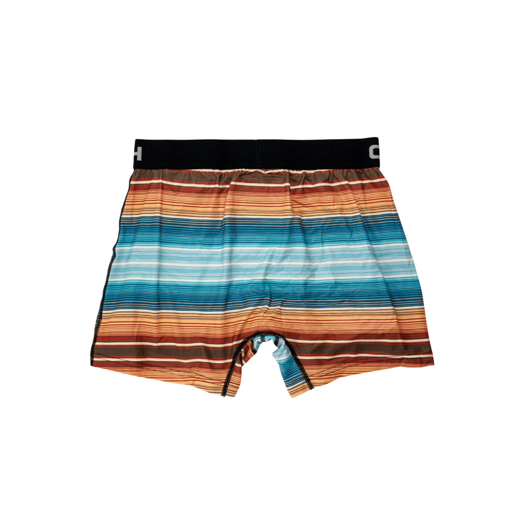 Back view of men's Cinch multi-colored, striped, underwear with a black waistband