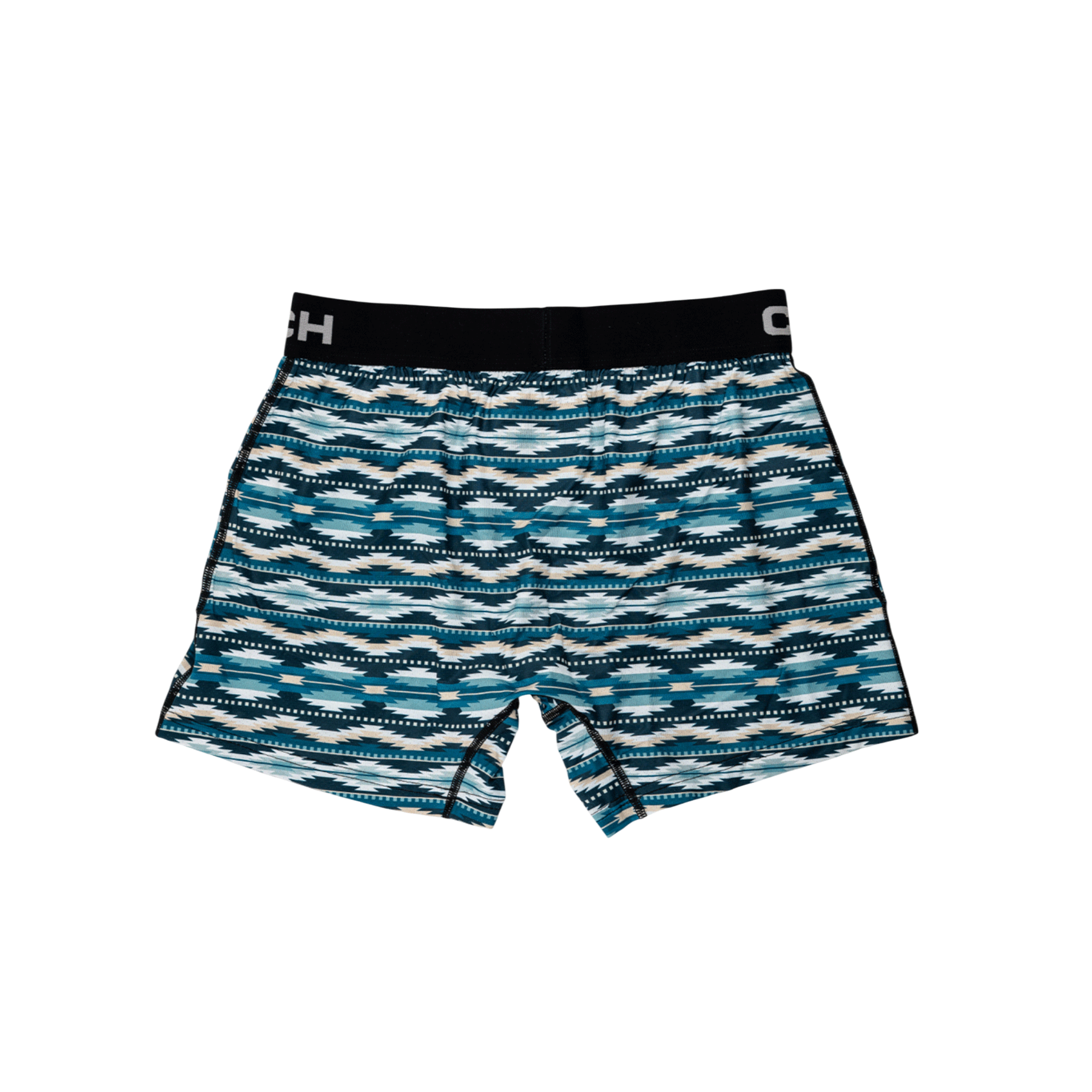 Back view of men's Cinch, teal, striped underwear with a black waistband and an Aztec print