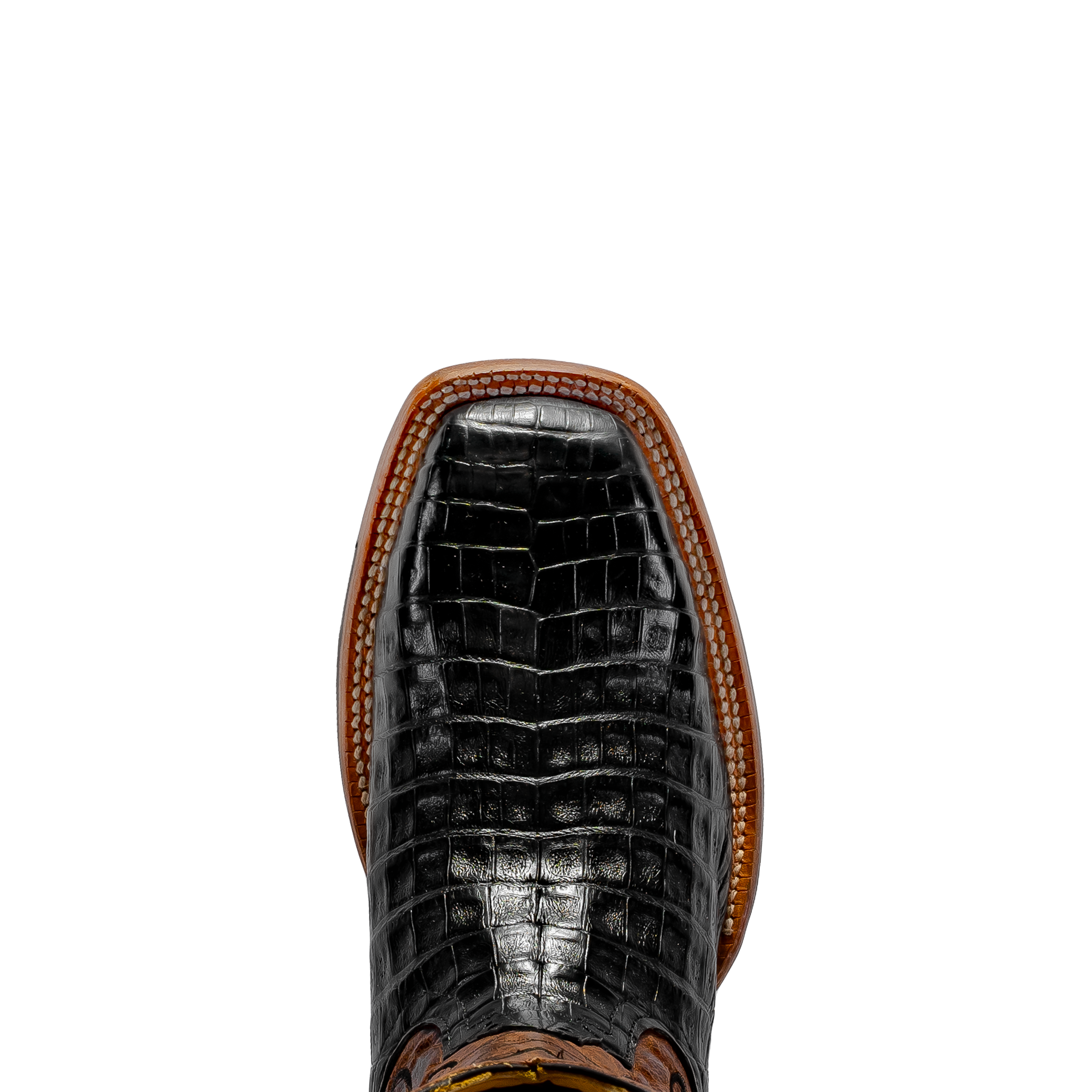 Rod Patrick BLACK CAIMAN BELLY (D)