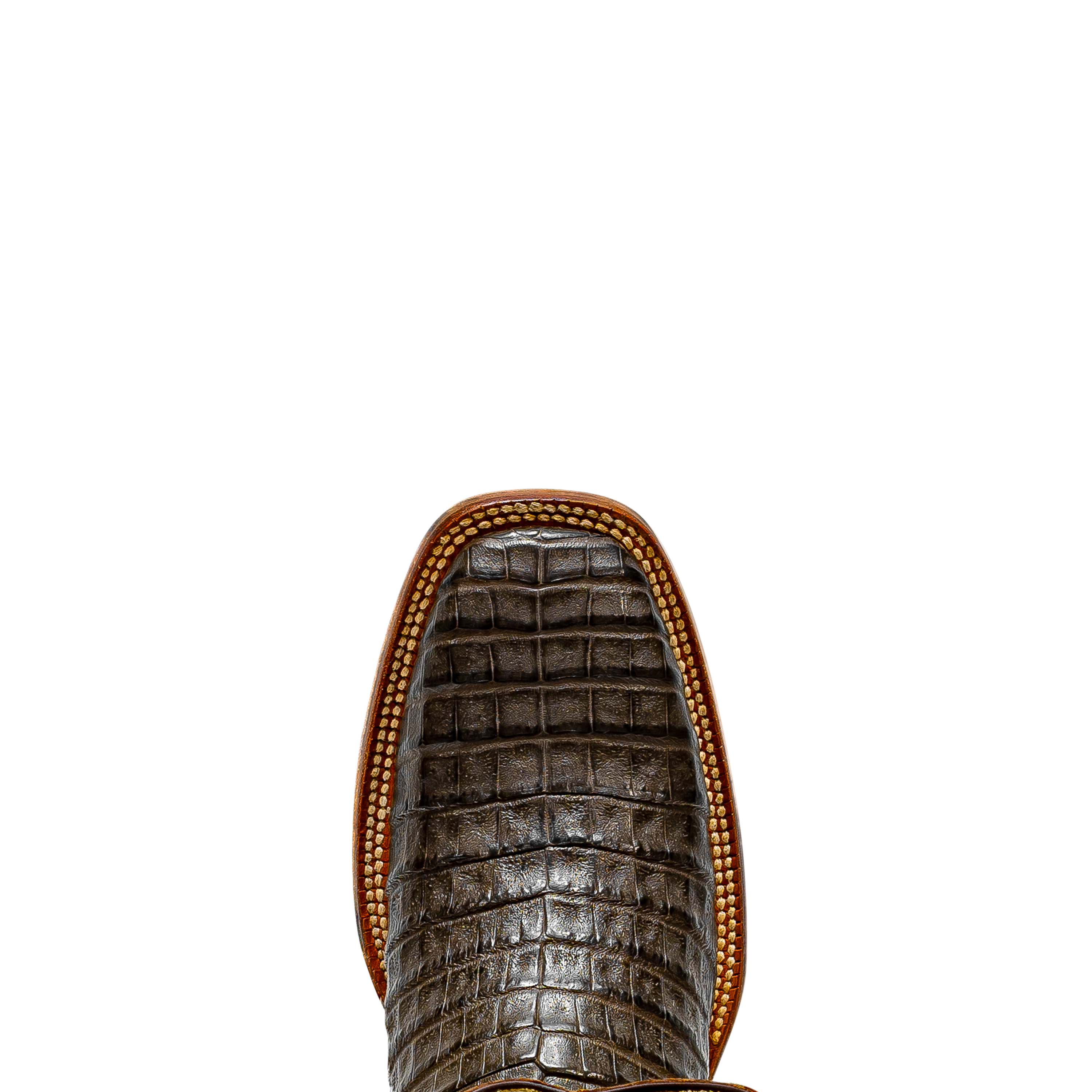 Rod Patrick CHOCOLATE CAIMAN BELLY (D)