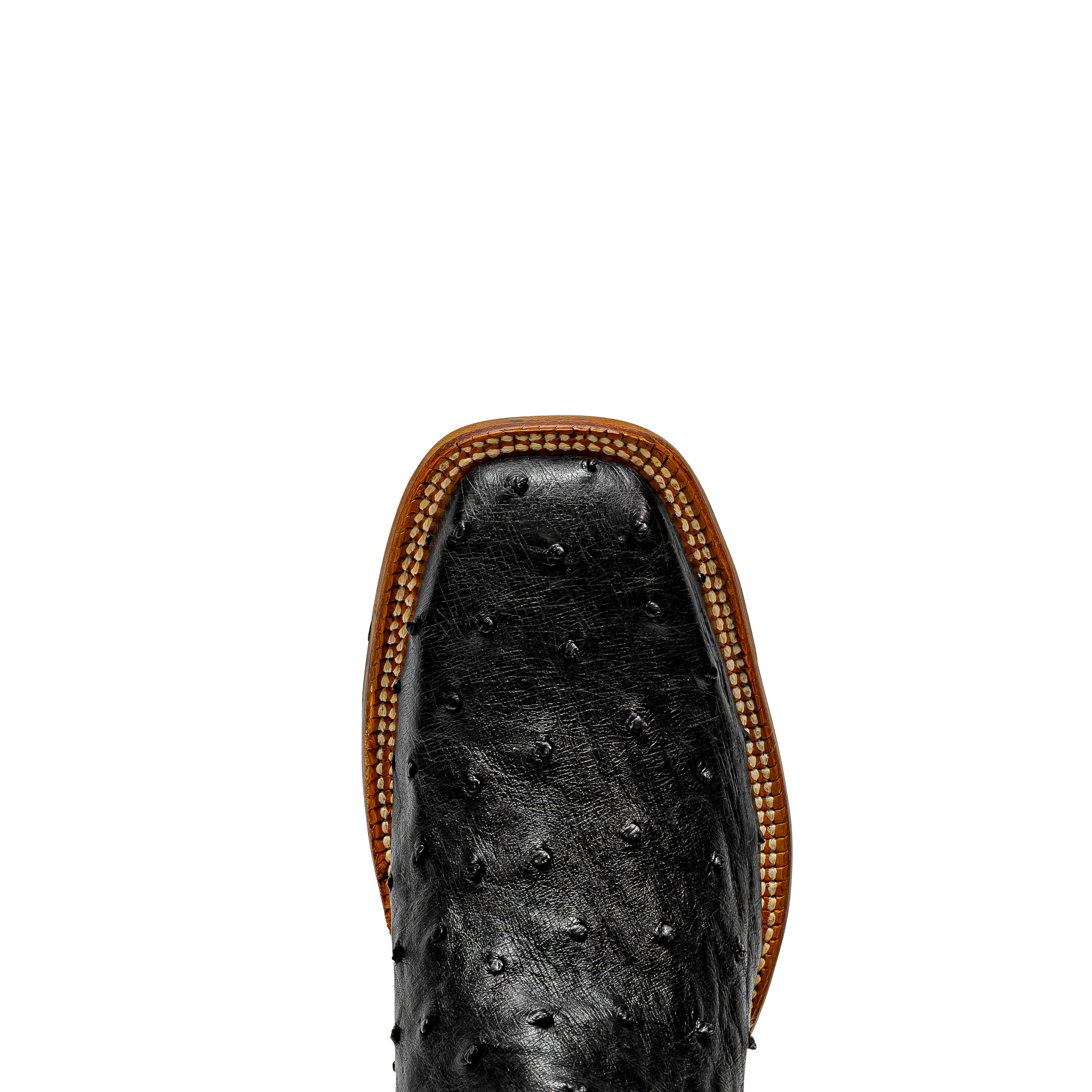 Rod Patrick BLACK FULL QUILL OSTRICH (D)