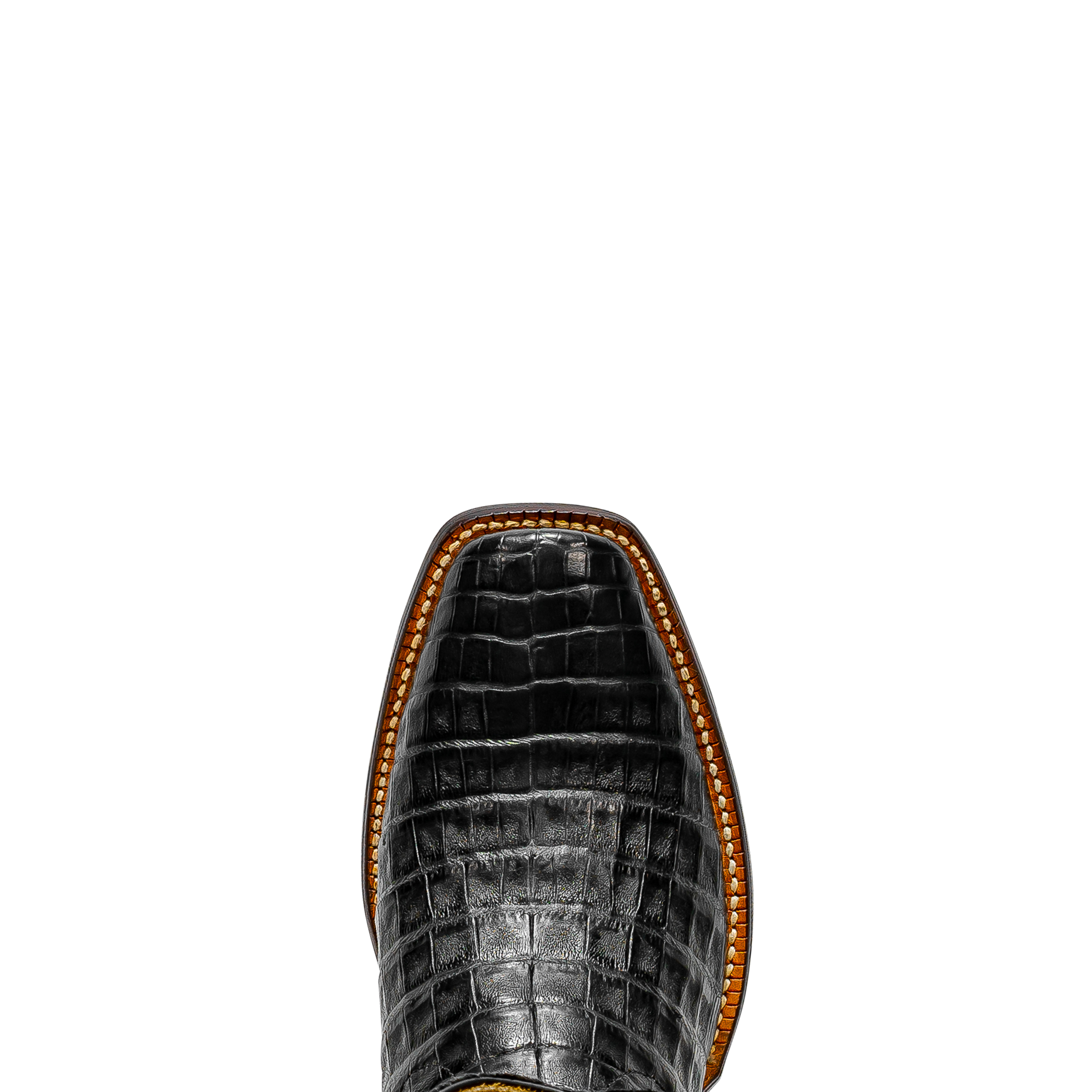 Rod Patrick BLACK CAIMAN BELLY (D)
