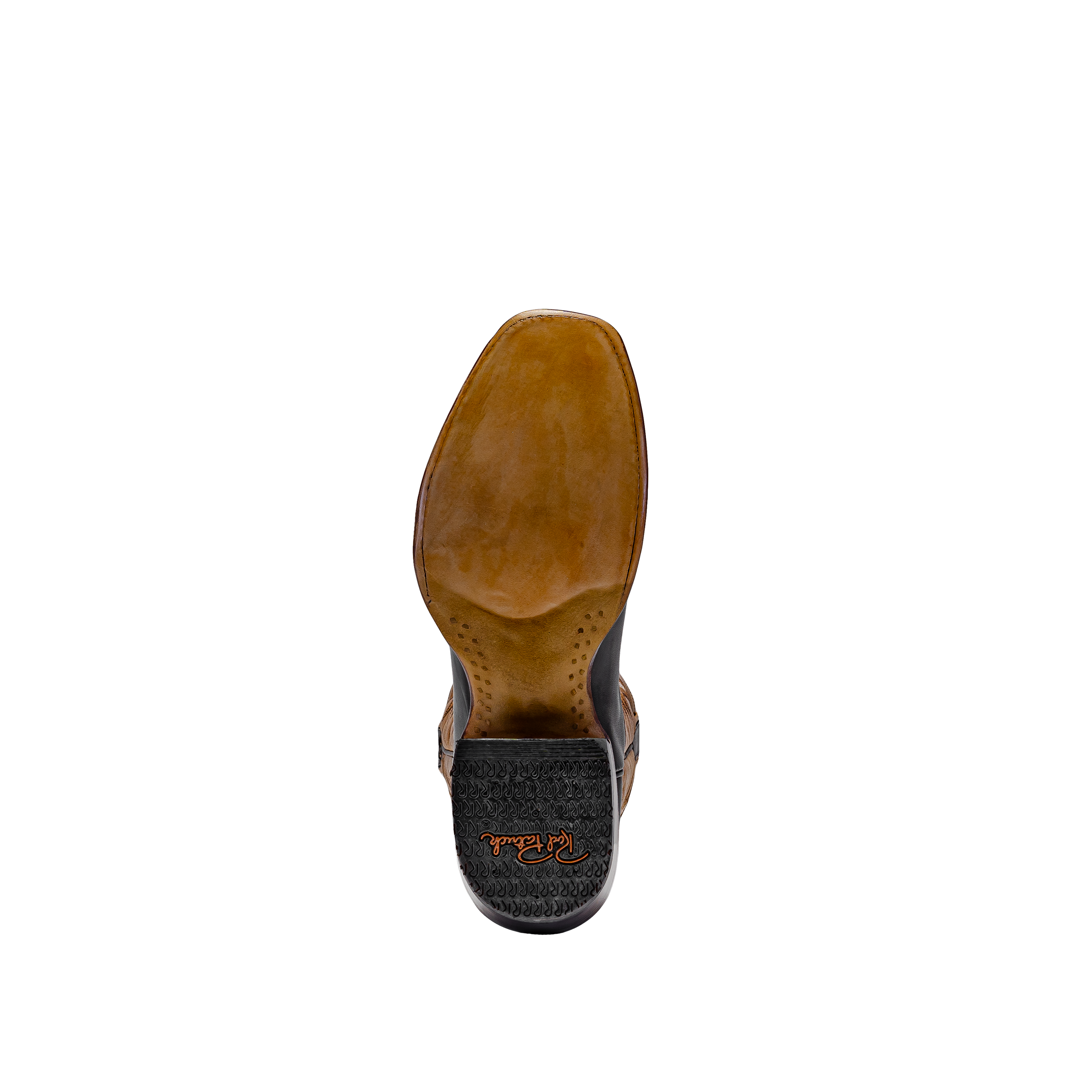 Rod Patrick CHOCOLATE CAYUSE (D)