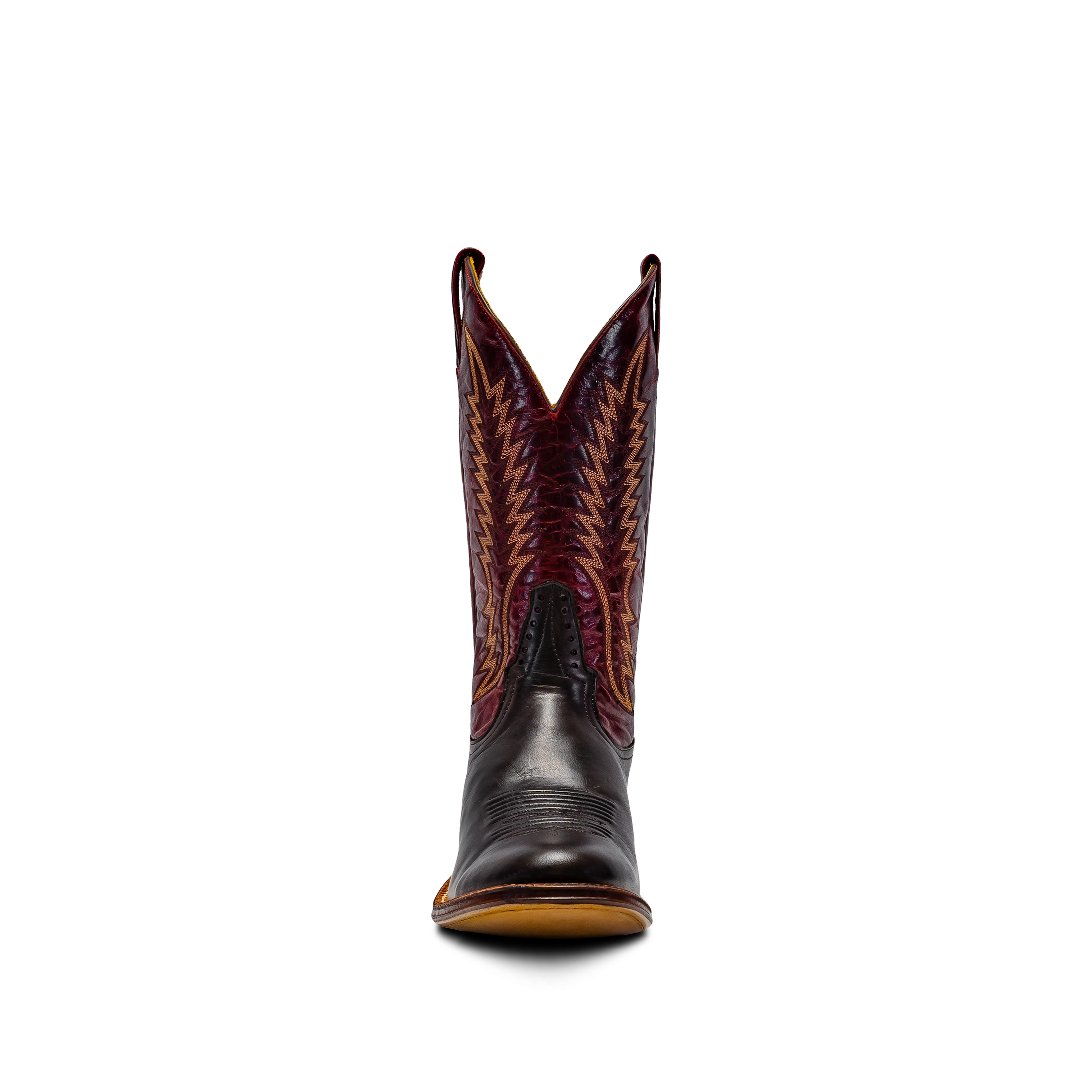 Rod Patrick CHOCOLATE CAYUSE (D)