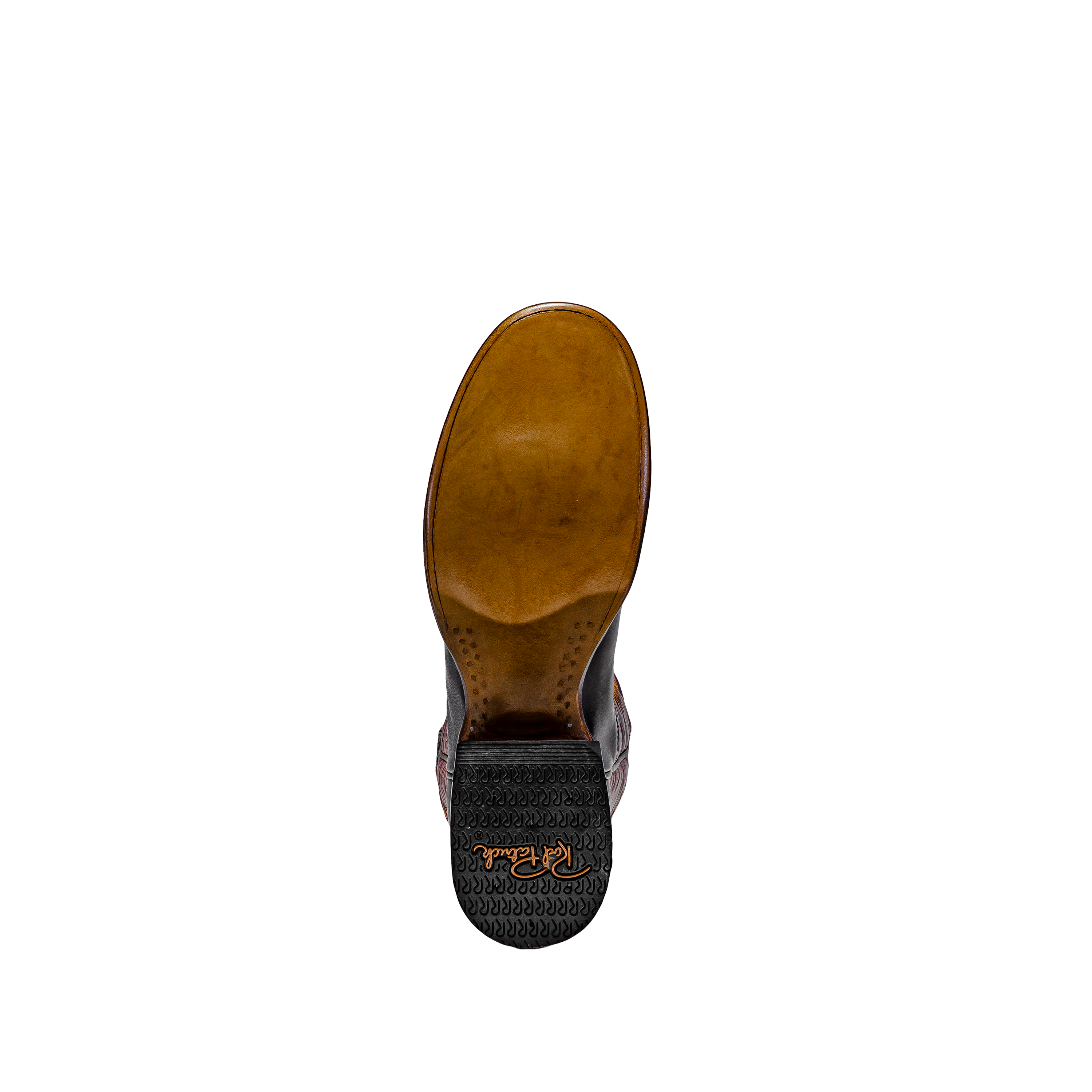 Rod Patrick CHOCOLATE CAYUSE (D)