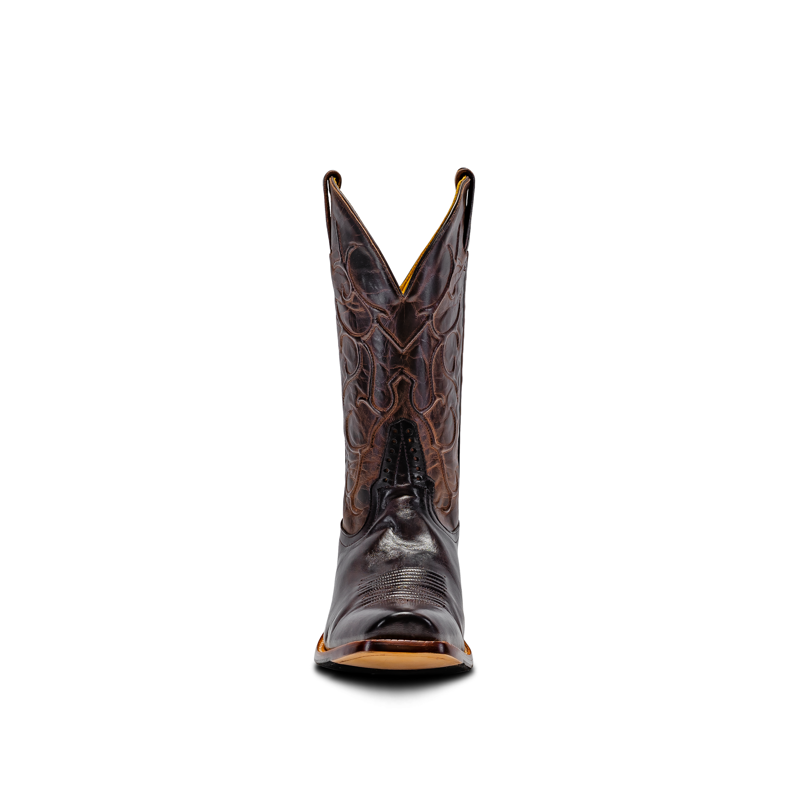 Rod Patrick CHOCOLATE CAYUSE (D)