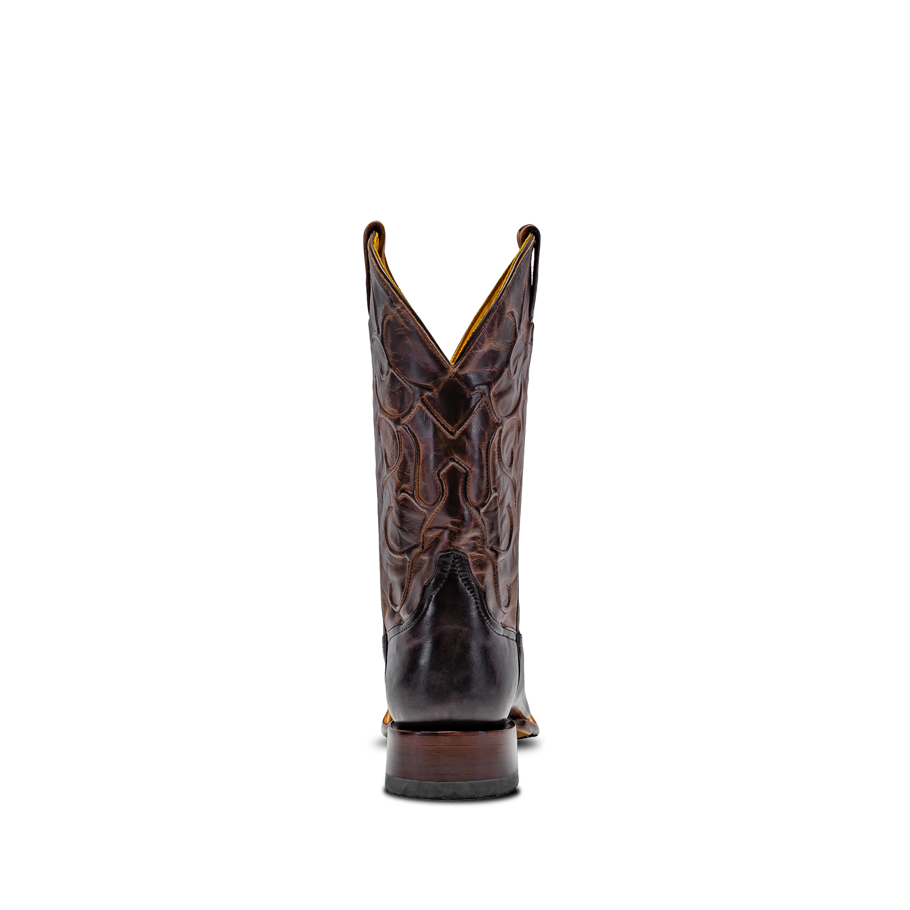 Rod Patrick CHOCOLATE CAYUSE (D)