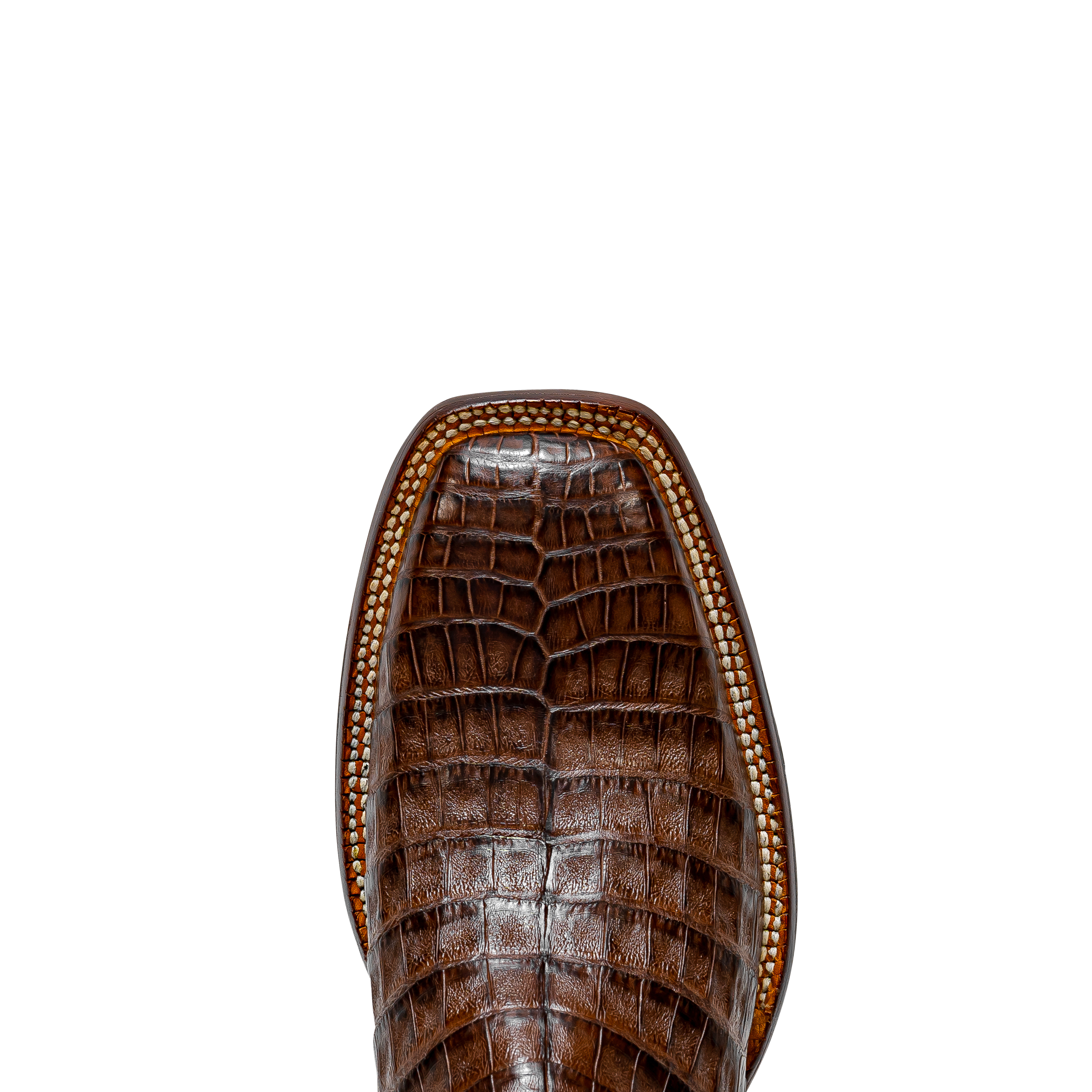 Rod Patrick CIGAR BELLY CAIMAN (D)