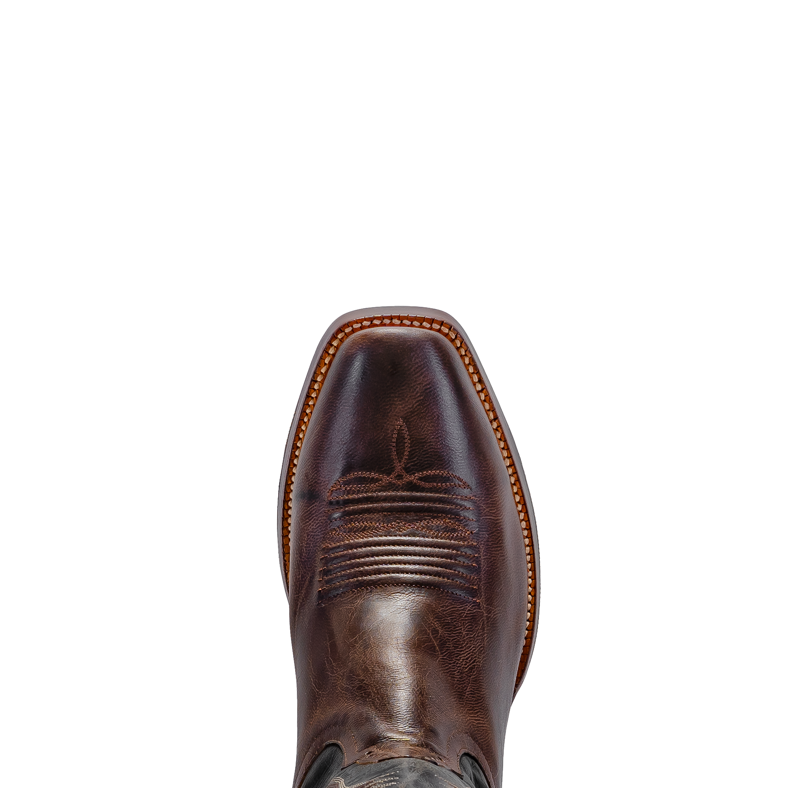 Rod Patrick Chocolate Mad Dog Goat (D)
