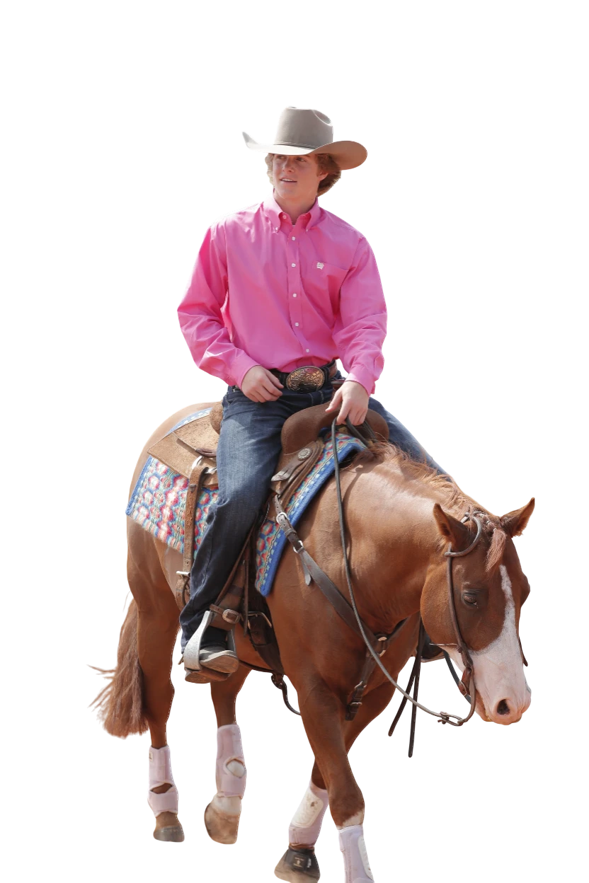 Cinch Men's Western Shirt Solid Button Down in Pink