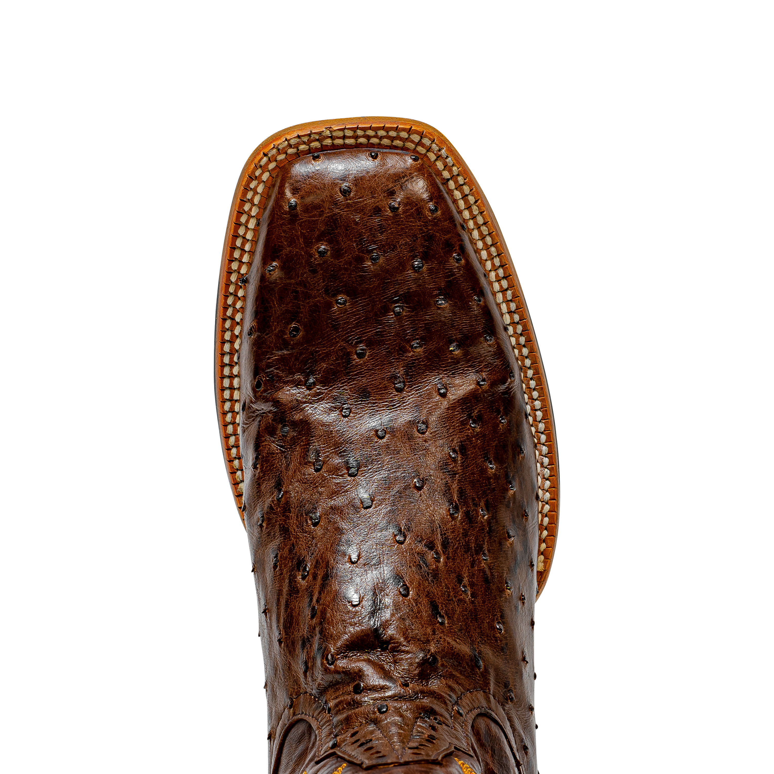 Rod Patrick KANGO TOBAC FULL QUILL OSTRICH (D)