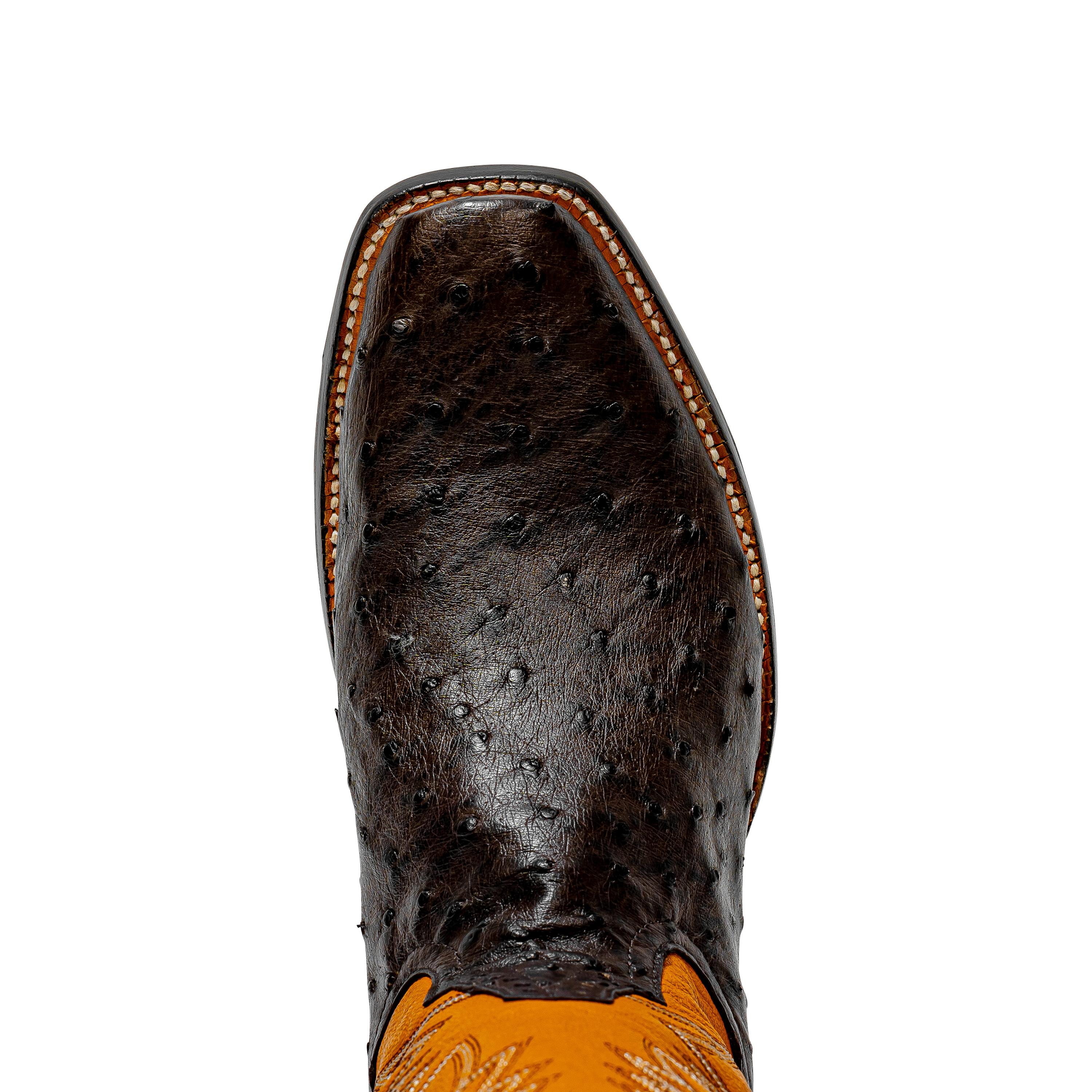 Rod Patrick NICOTINE FULL QUILL OSTRICH (D)