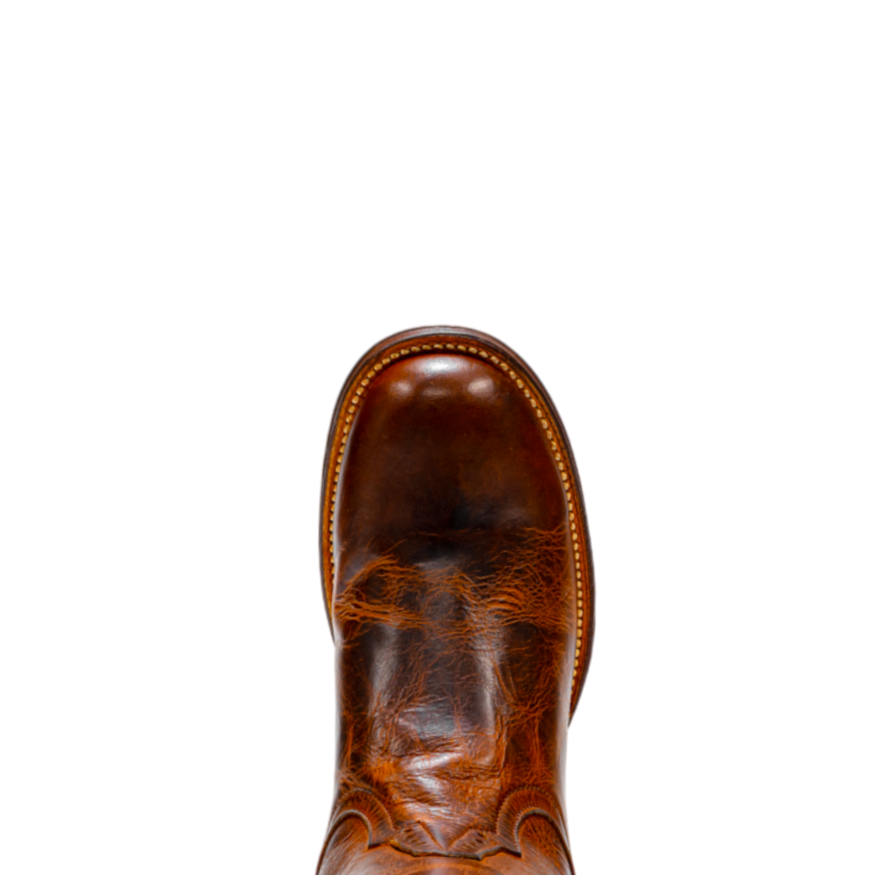 ROD PATRICK TORINO SADDLE (D)